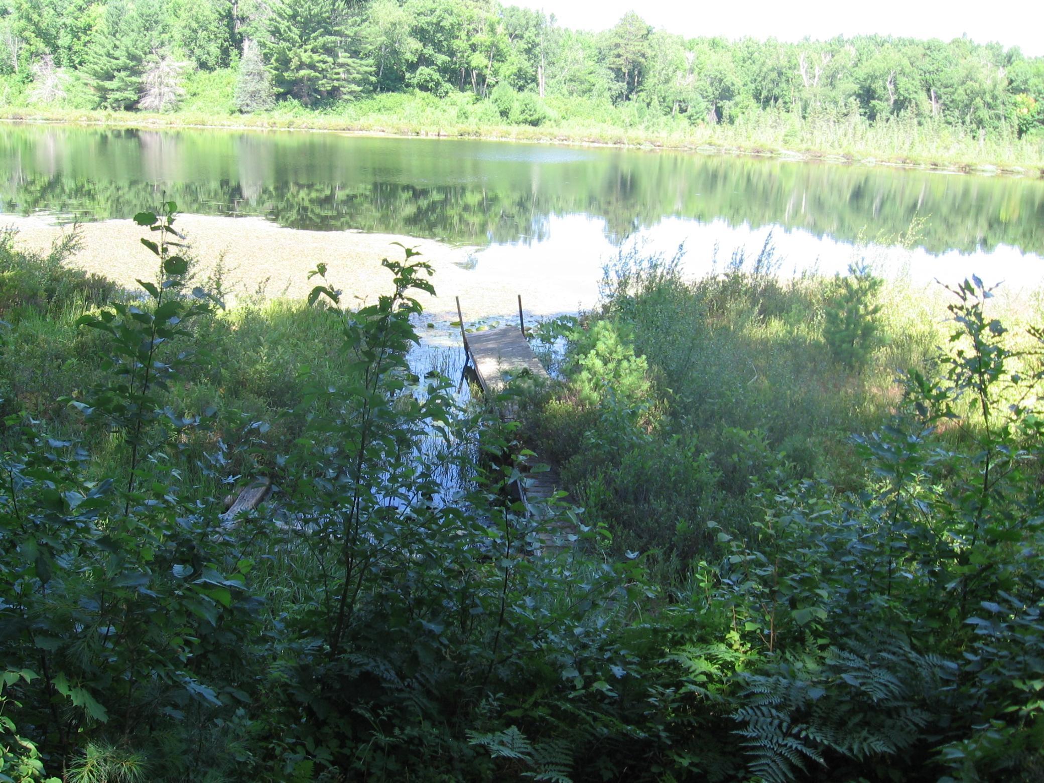 Tbd County 5 Nw Property Photo 19