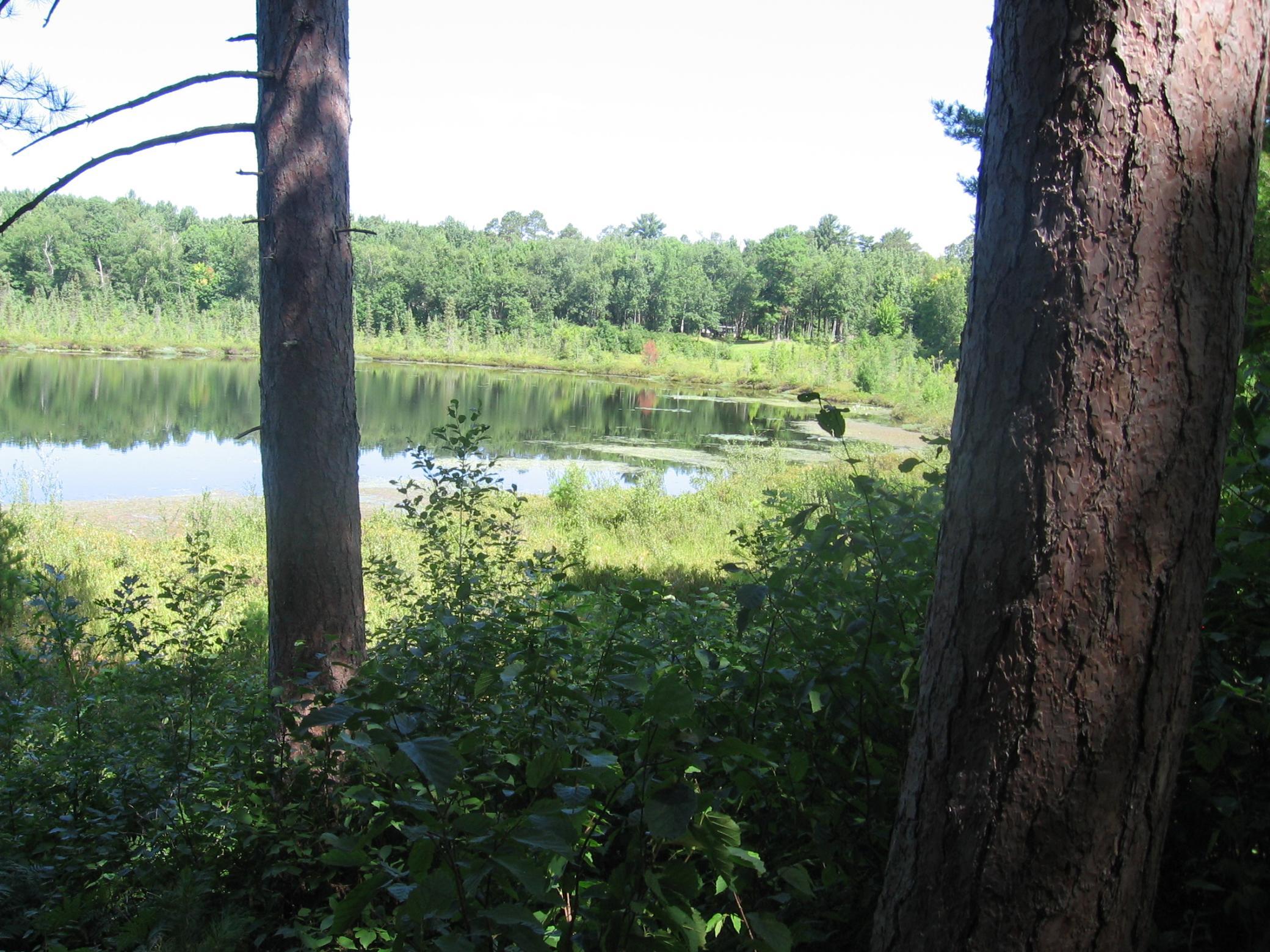 Tbd County 5 Nw Property Photo 20