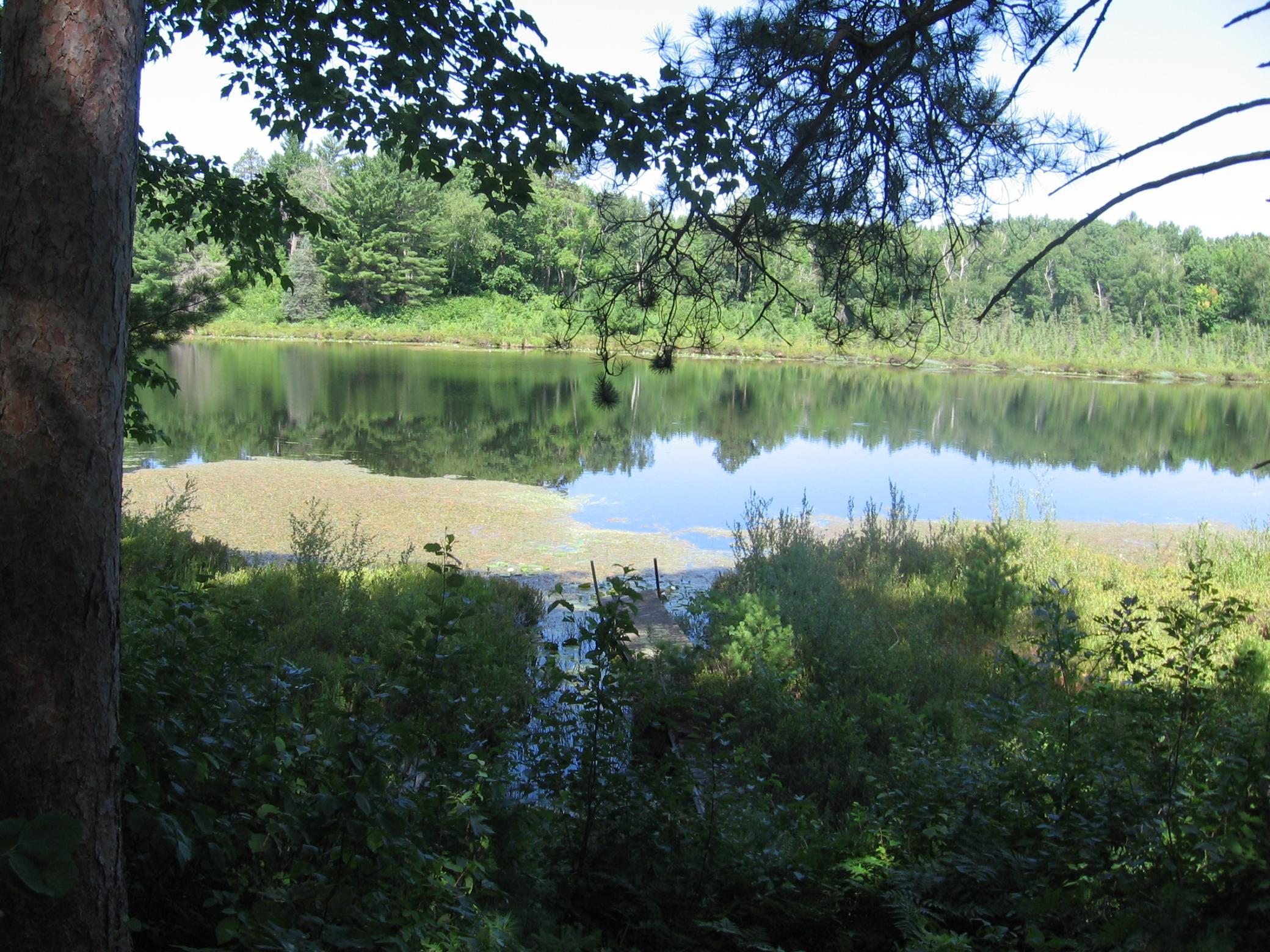 Tbd County 5 Nw Property Photo 21