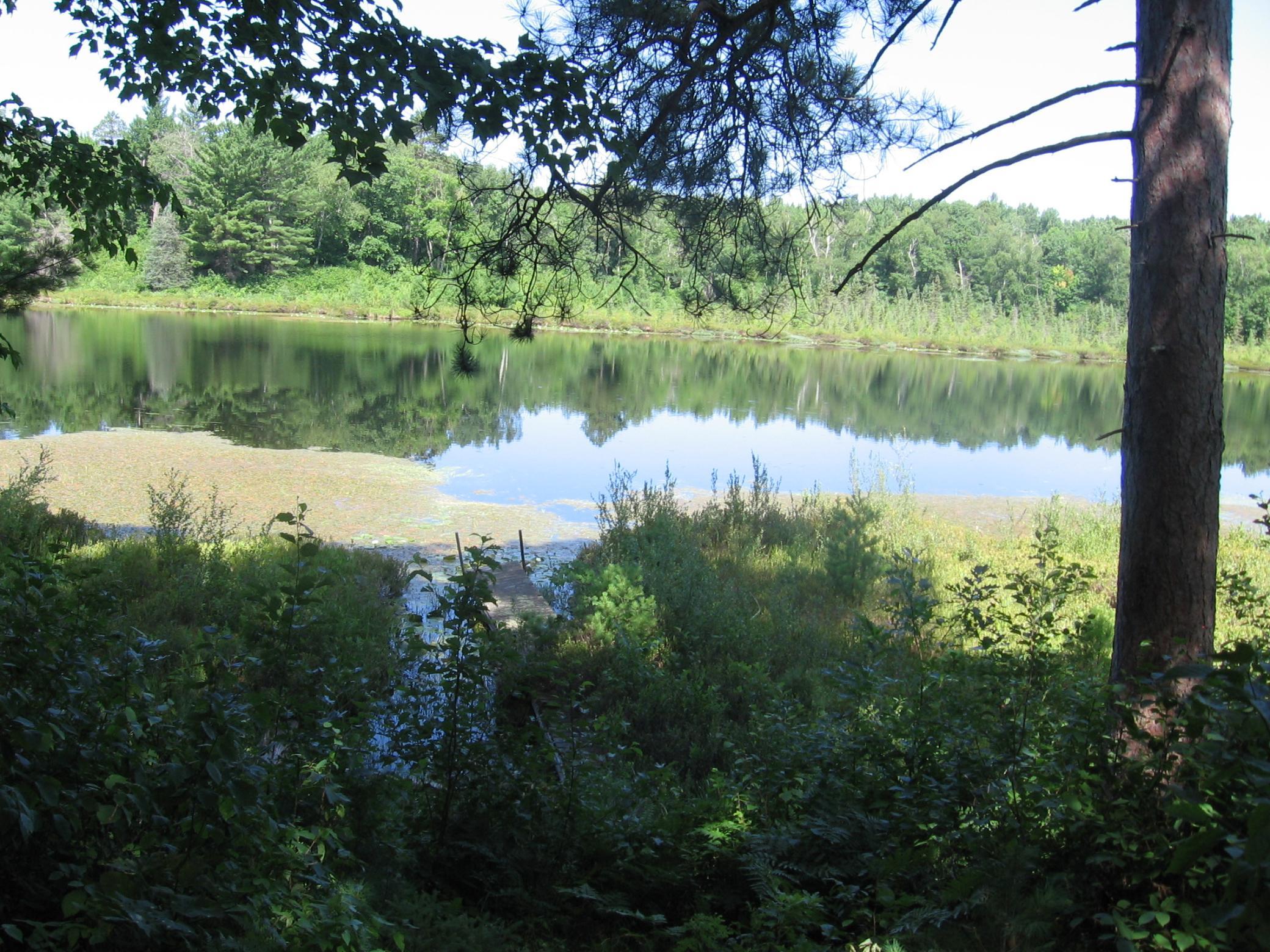 Tbd County 5 Nw Property Photo 22