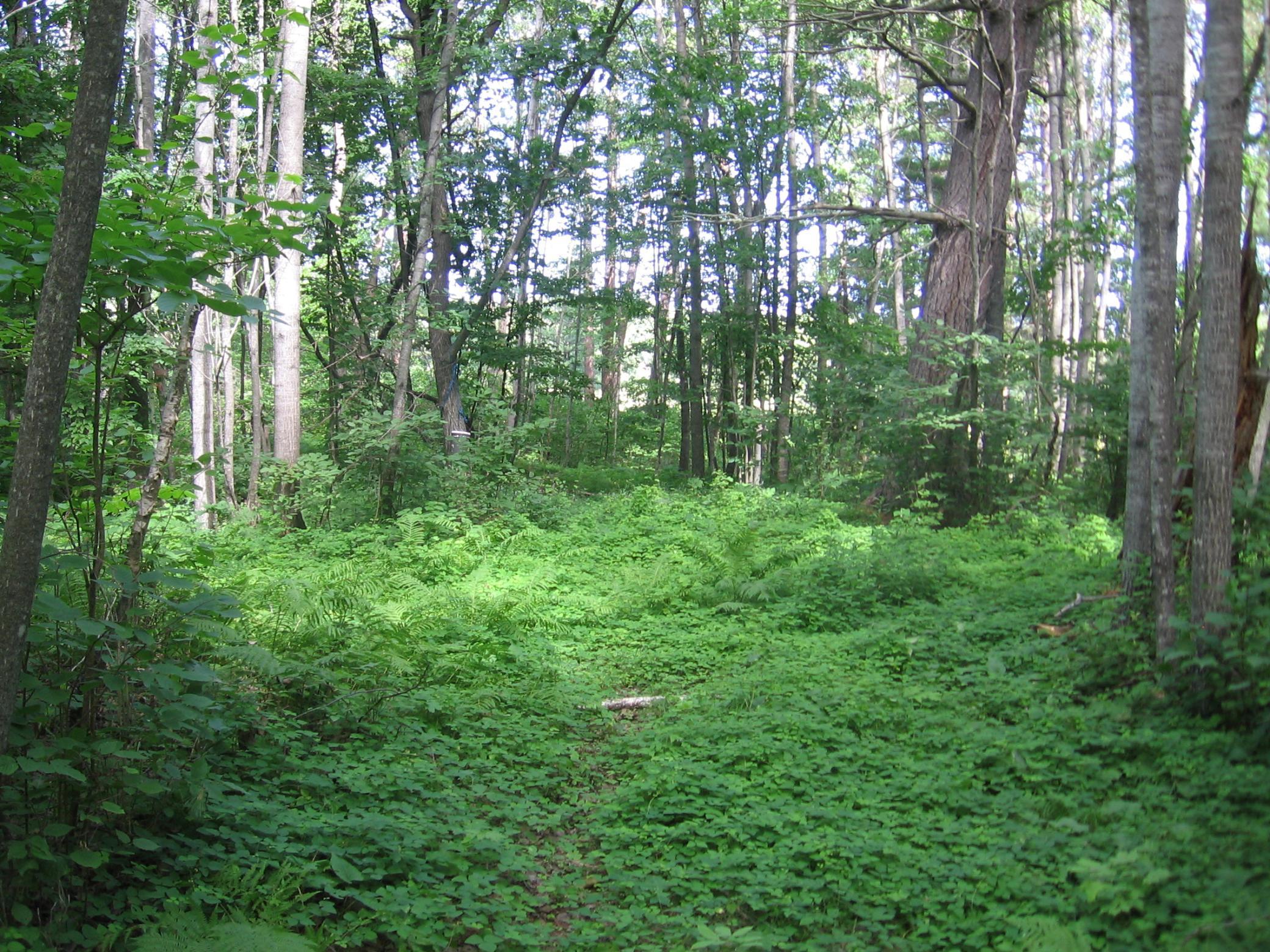 Tbd County 5 Nw Property Photo 25