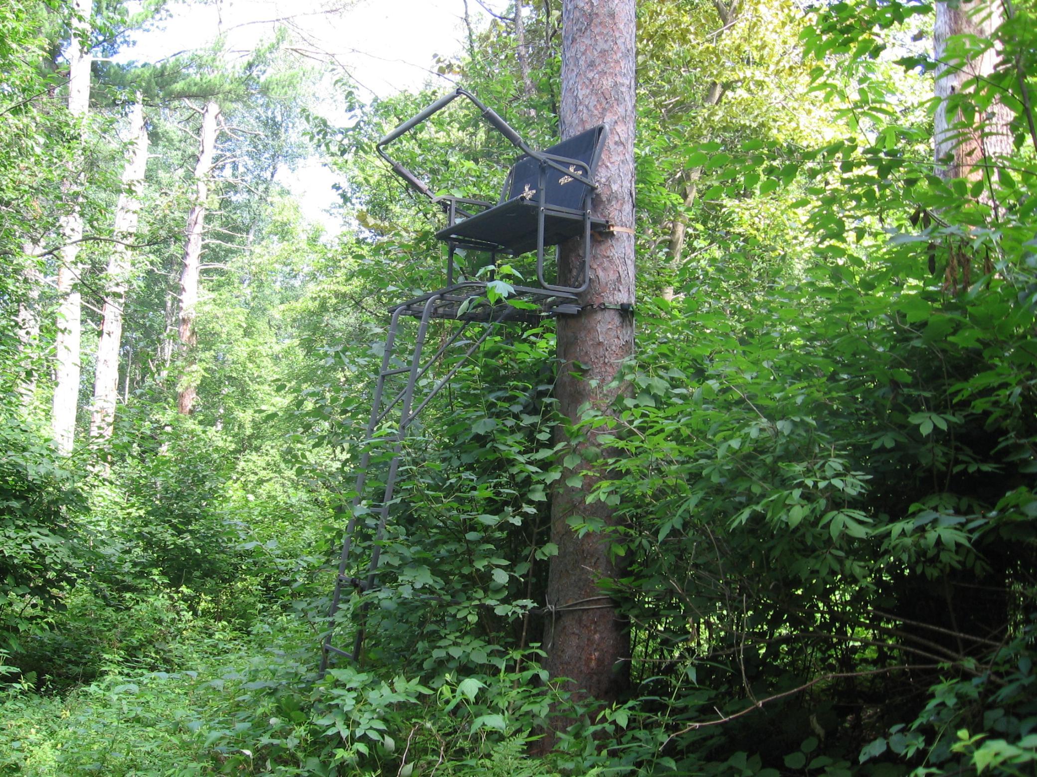Tbd County 5 Nw Property Photo 26