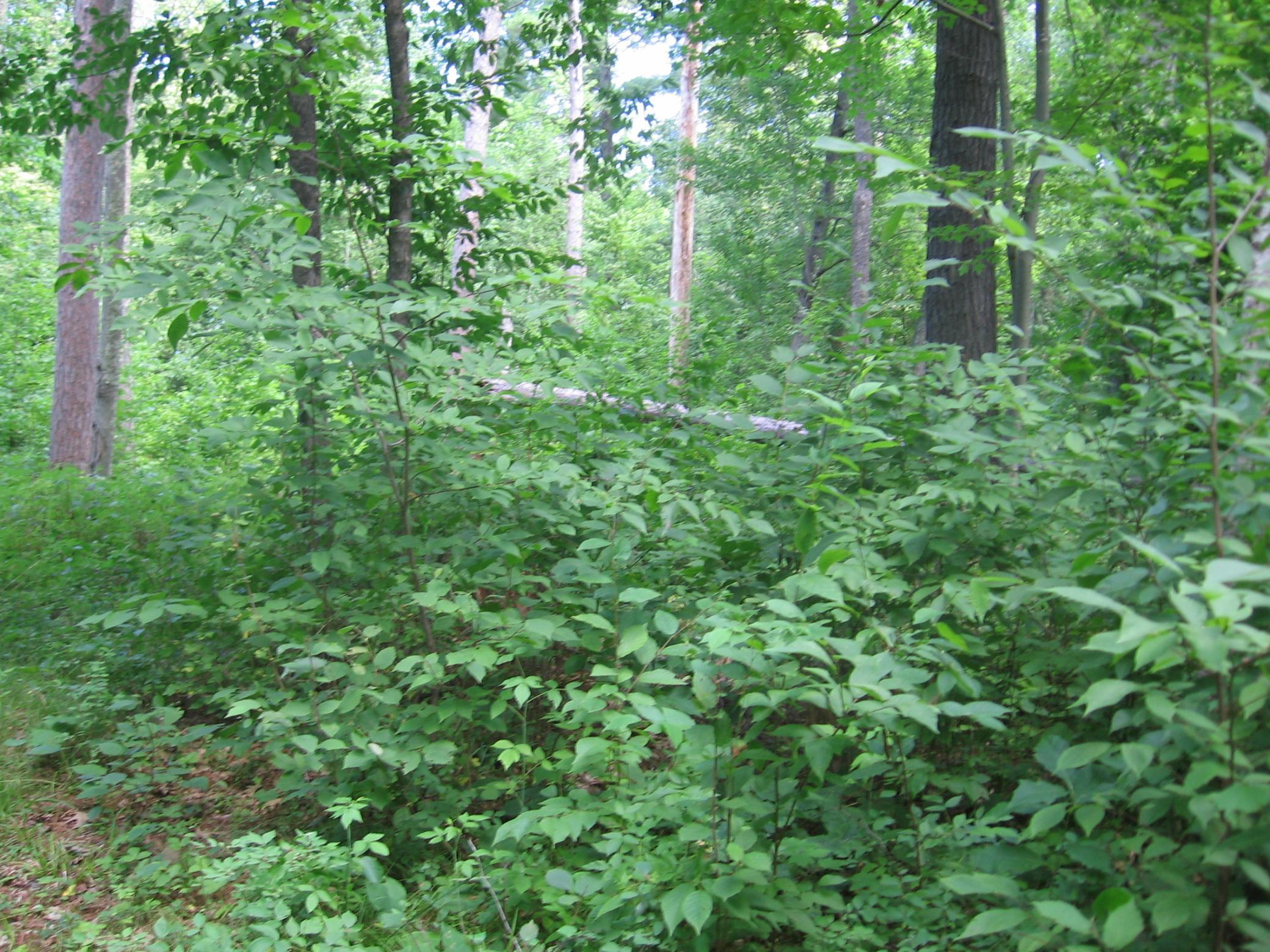 Tbd County 5 Nw Property Photo 28