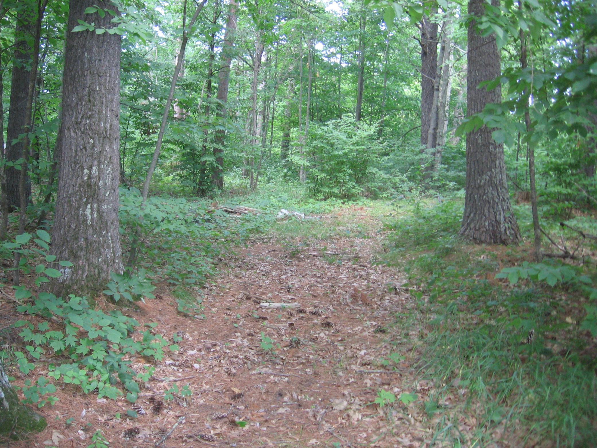Tbd County 5 Nw Property Photo 29