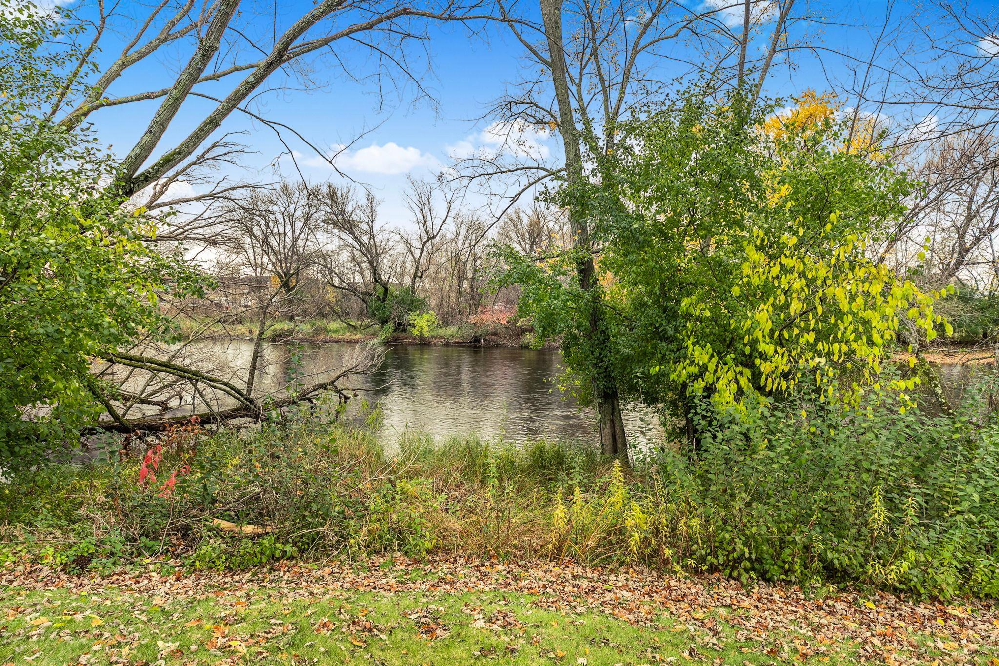 4218 White Drive Property Photo 48