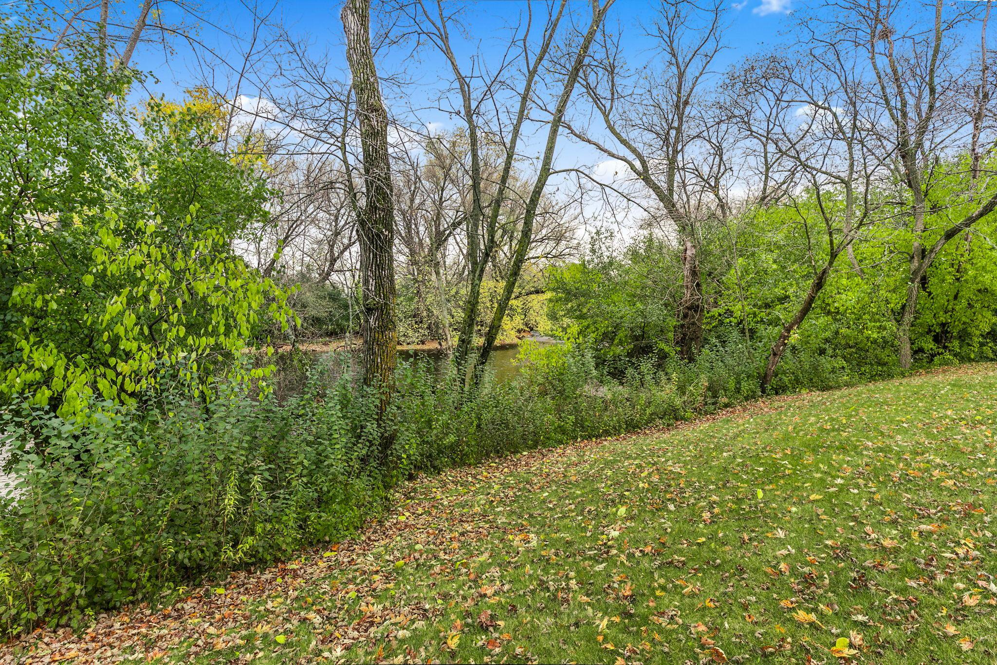4218 White Drive Property Photo 49