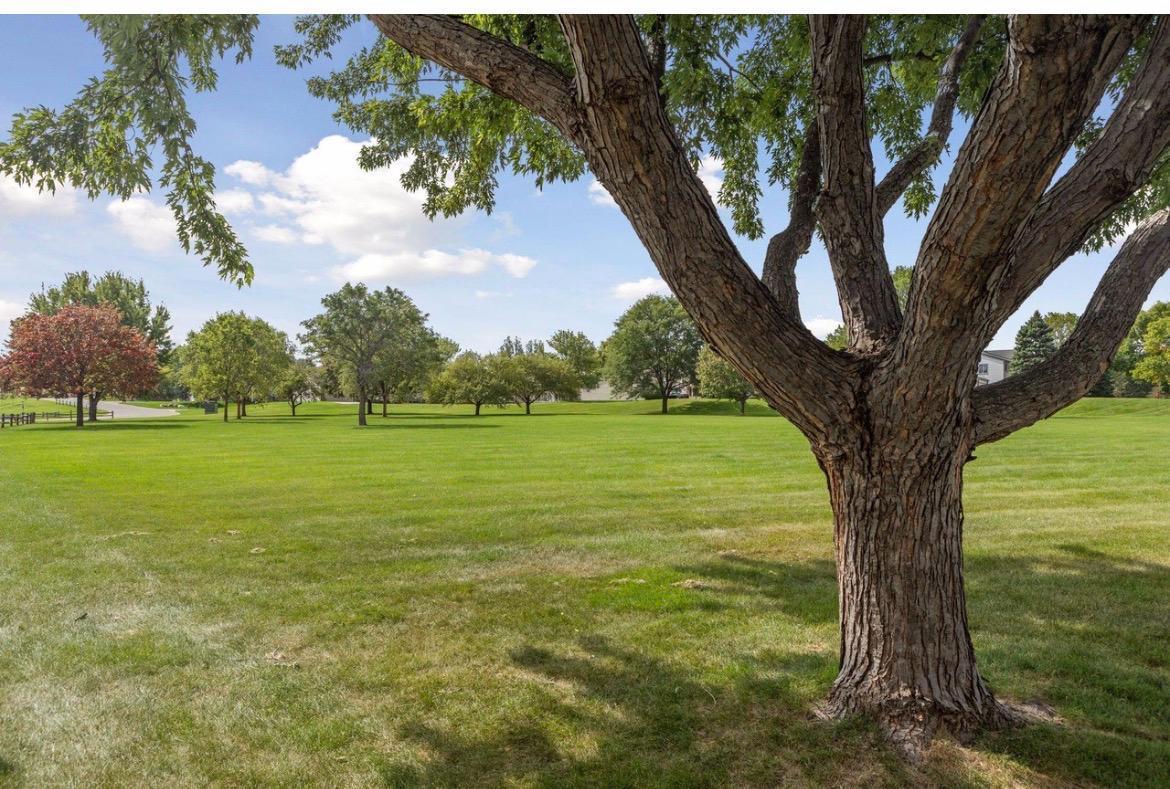 15822 Griffon Path Property Photo 29