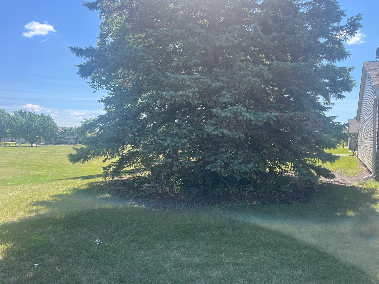 15822 Griffon Path Property Photo 31