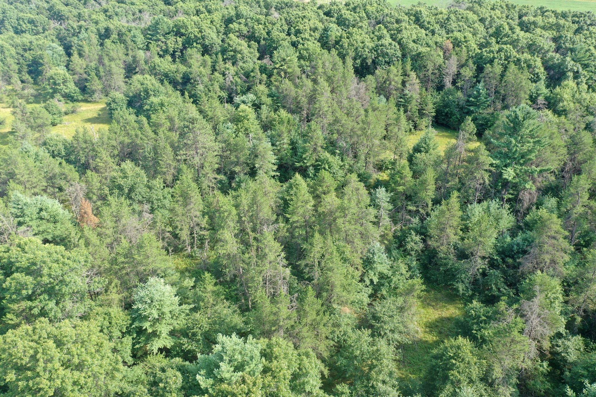 S13160 Camp Road Property Photo 1