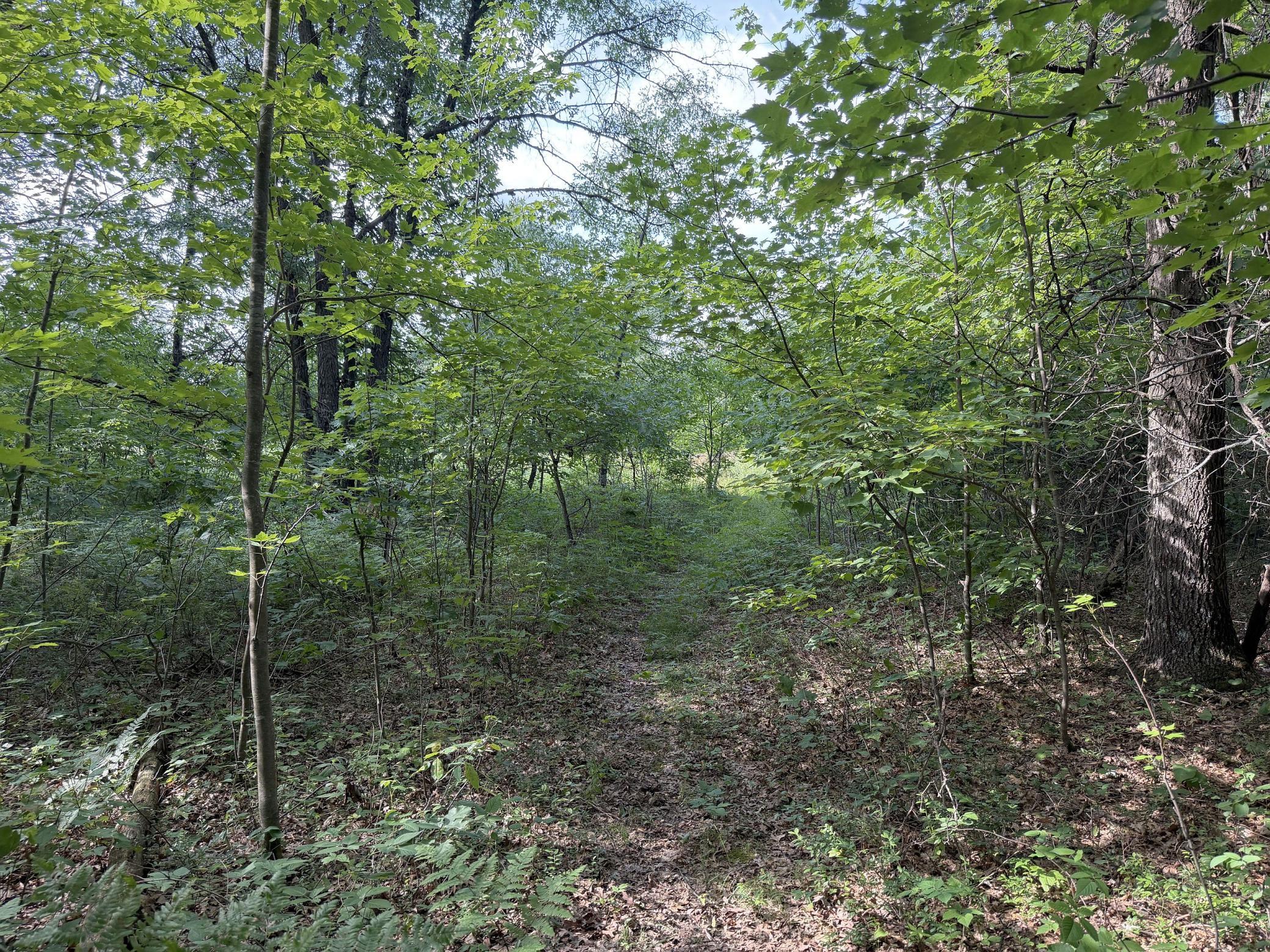 S13160 Camp Road Property Photo 8