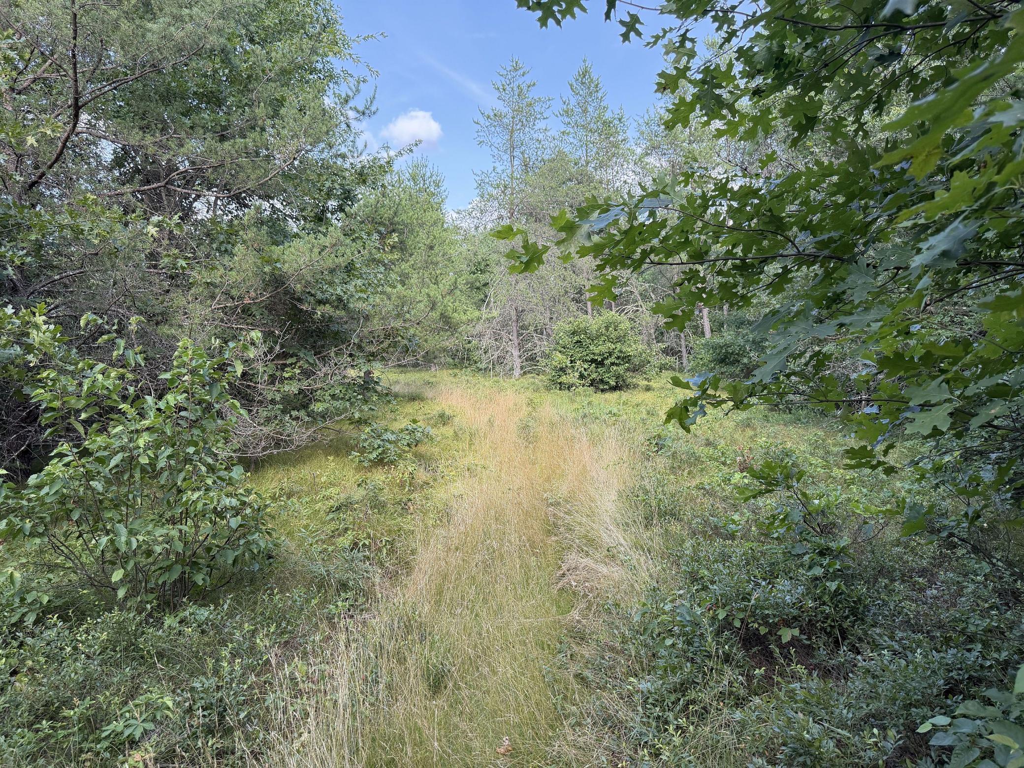 S13160 Camp Road Property Photo 12
