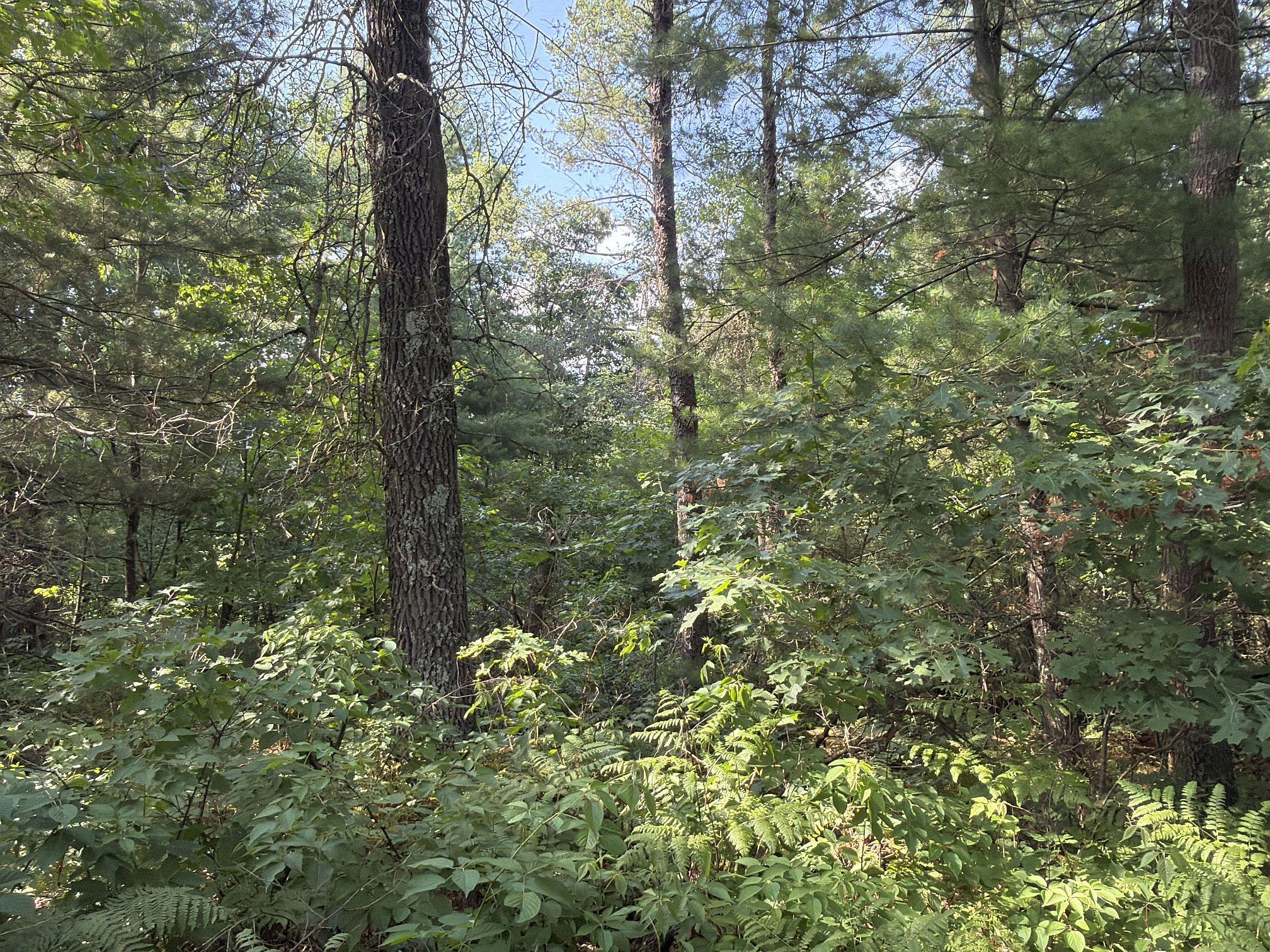 S13160 Camp Road Property Photo 16