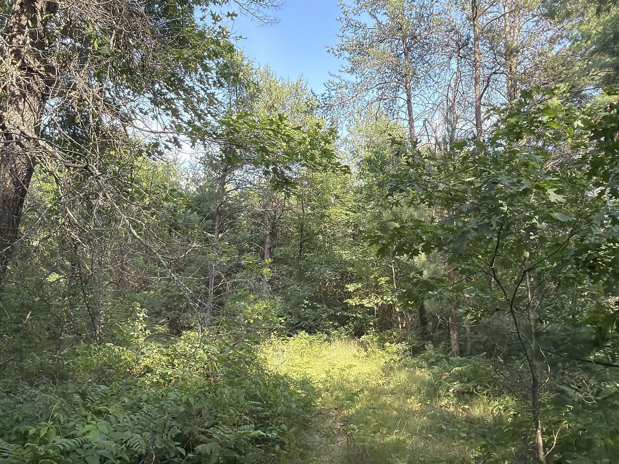 S13160 Camp Road Property Photo 17