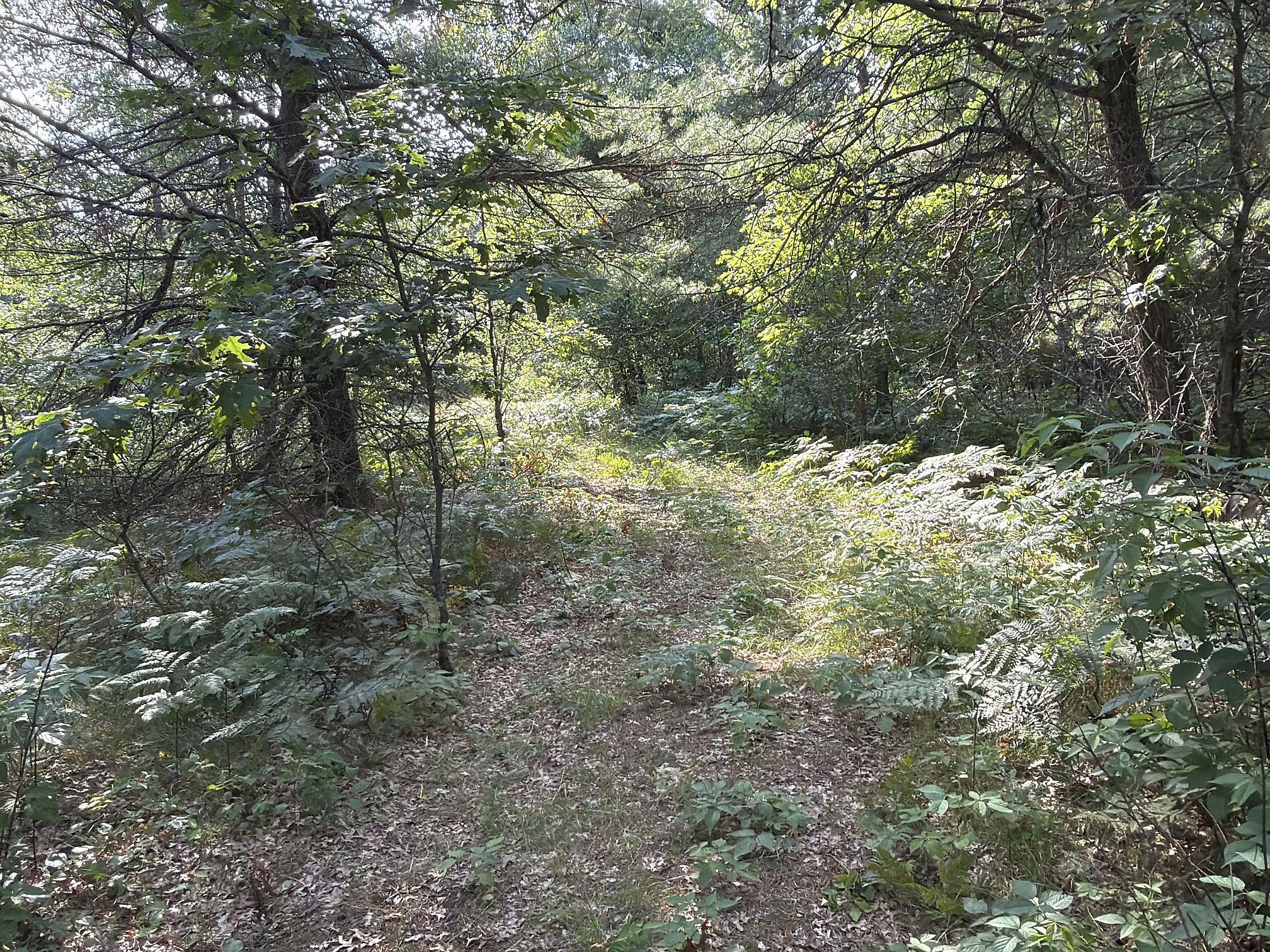 S13160 Camp Road Property Photo 18