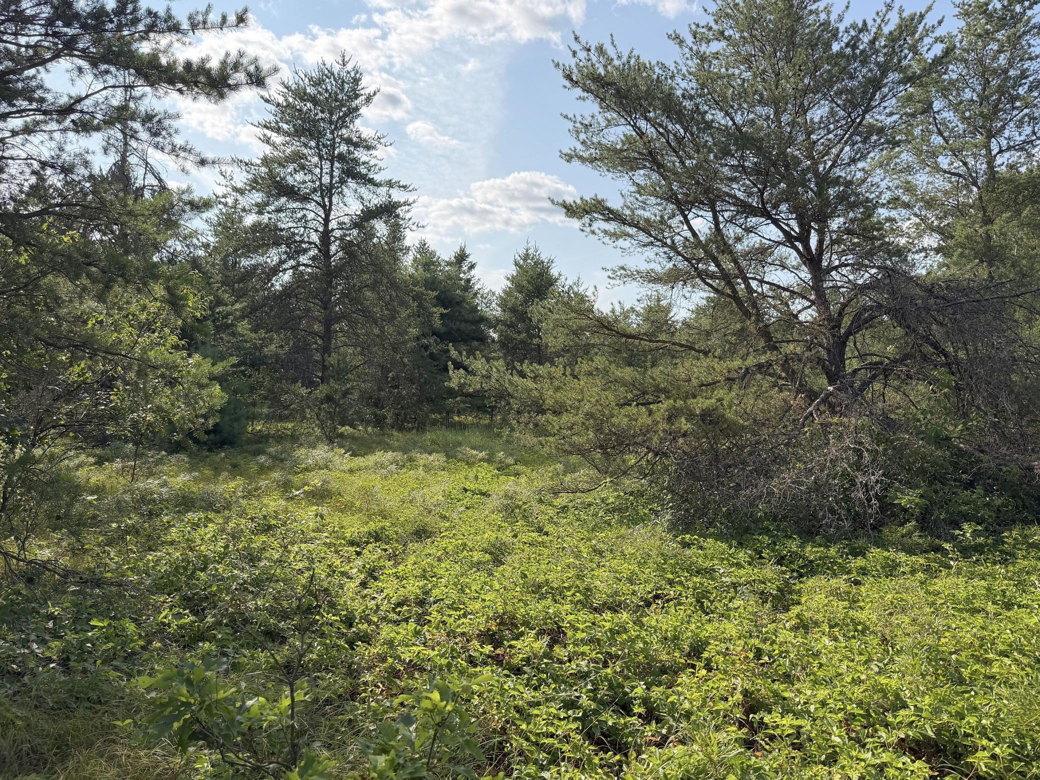 S13160 Camp Road Property Photo 19