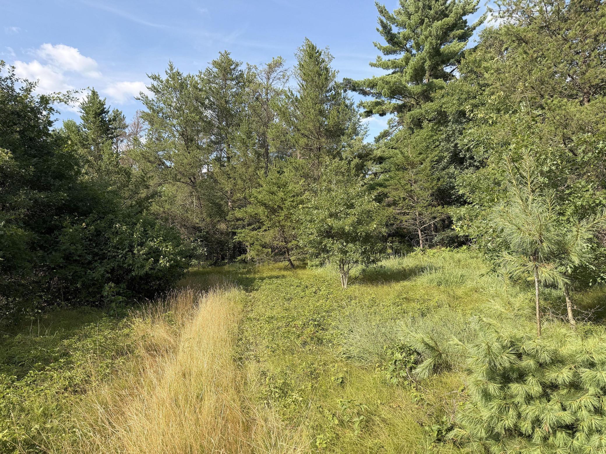 S13160 Camp Road Property Photo 20