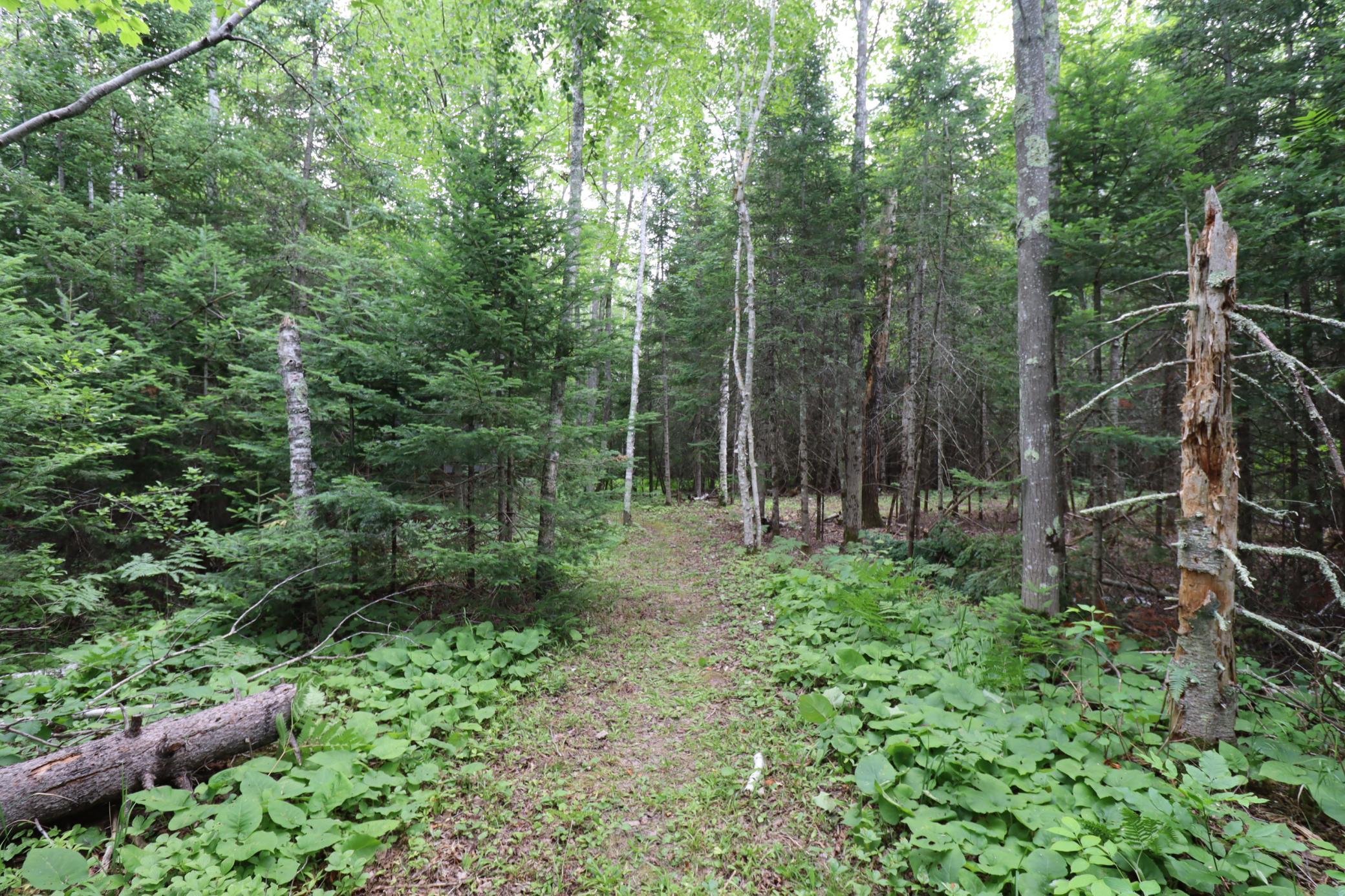 28395 County Highway G Property Photo 54