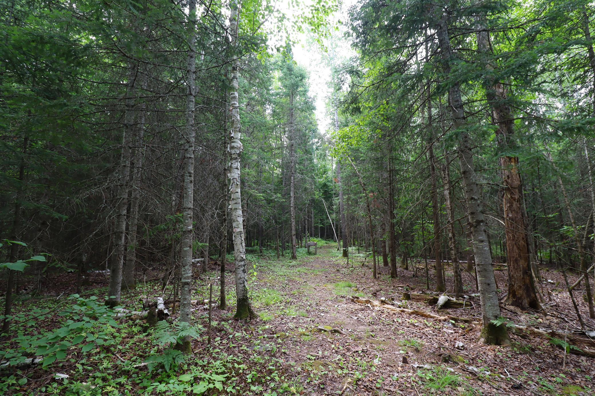 28395 County Highway G Property Photo 57