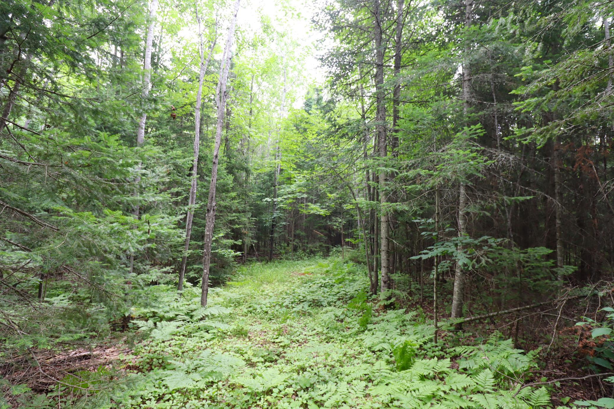 28395 County Highway G Property Photo 58