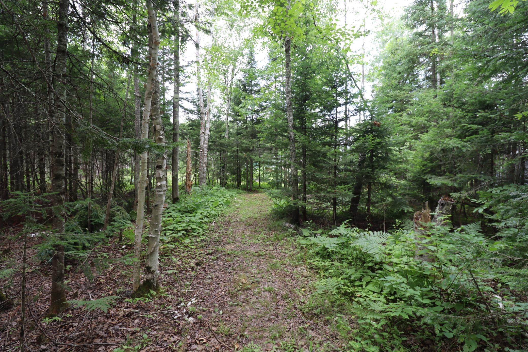 28395 County Highway G Property Photo 59