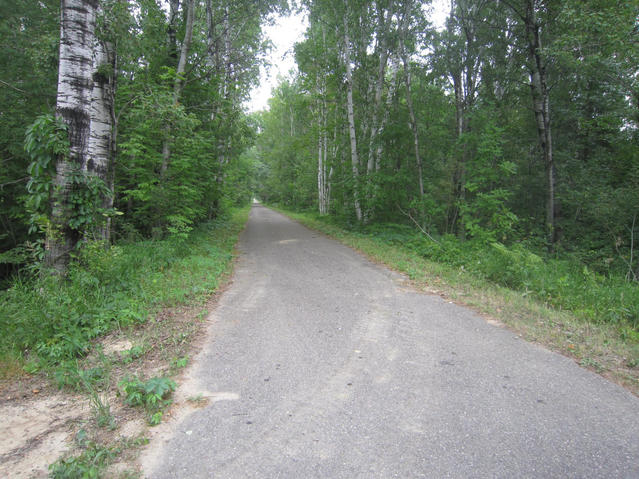 Xx State Hwy 371 Property Photo 4