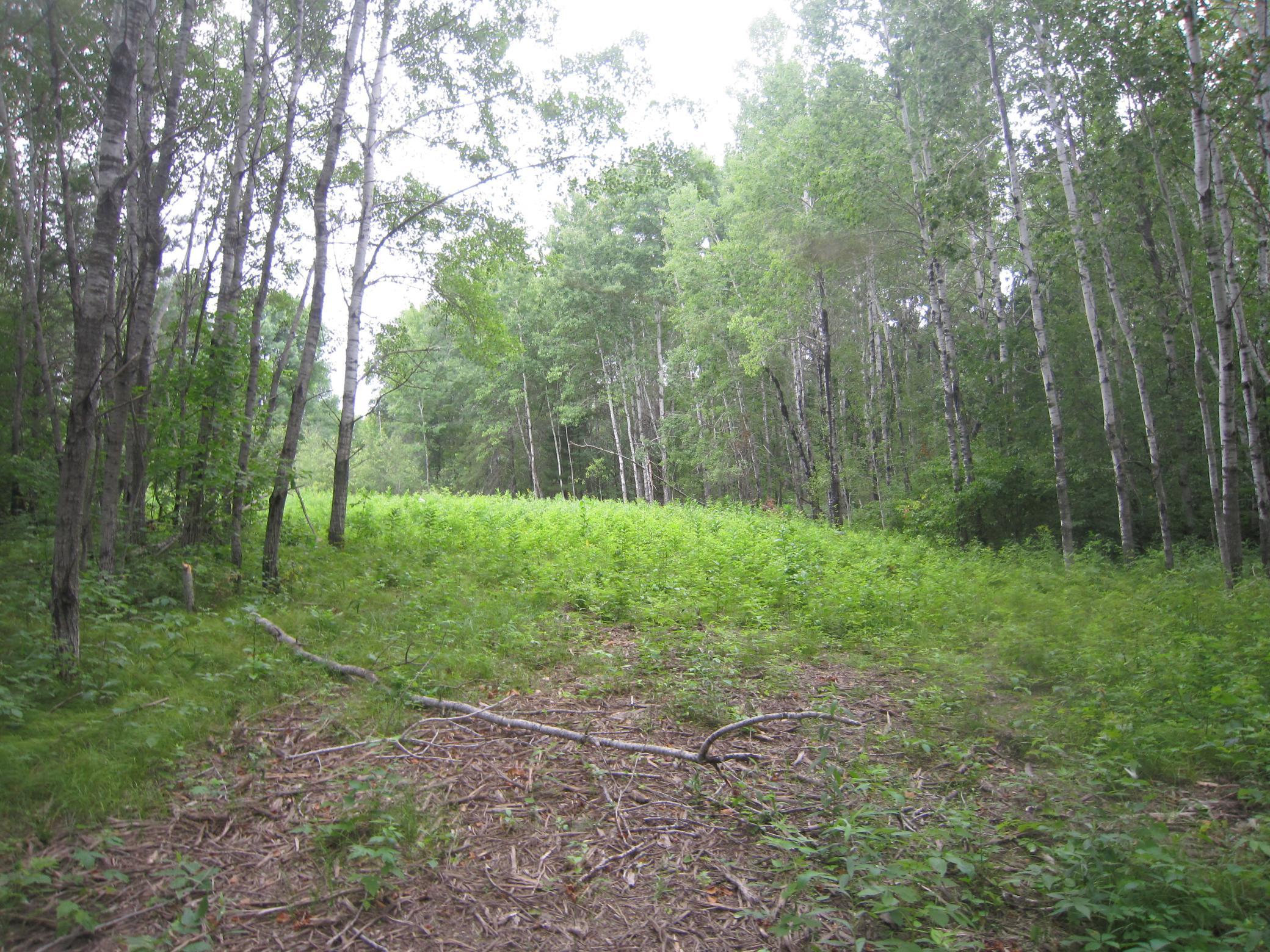 Xx State Hwy 371 Property Photo 5