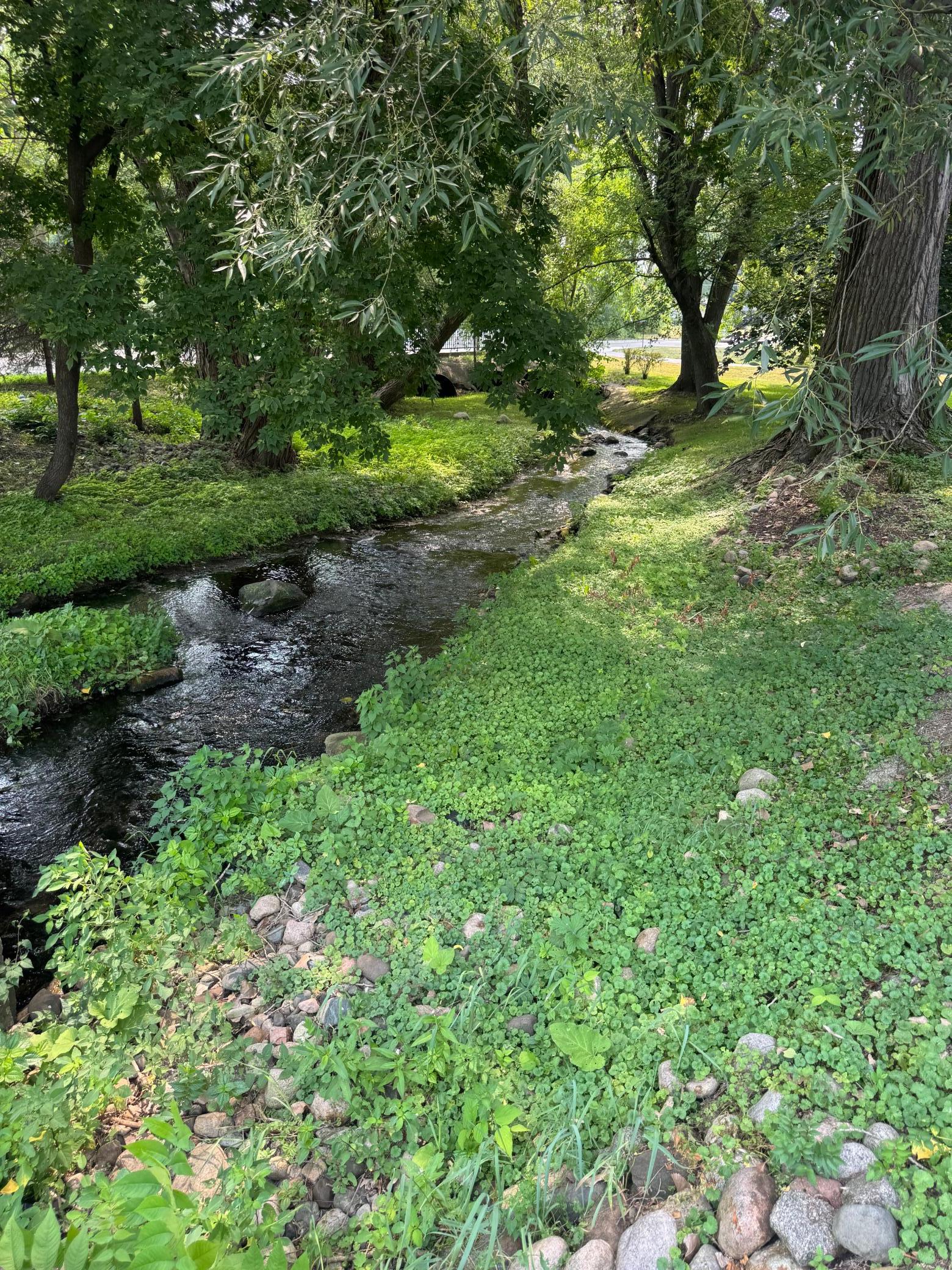 208 2nd Street N Property Photo 25