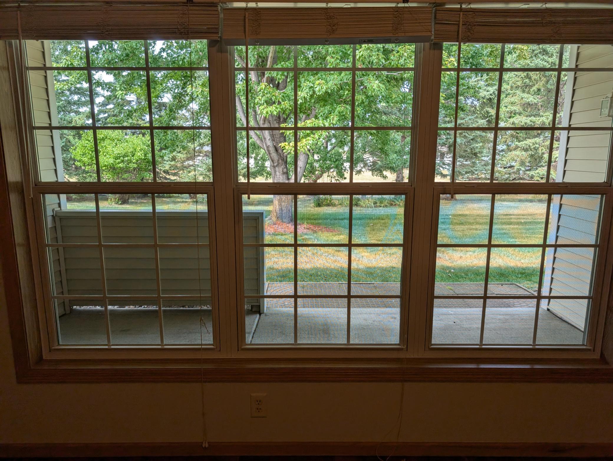 2203 Foxglove Way Property Photo 10