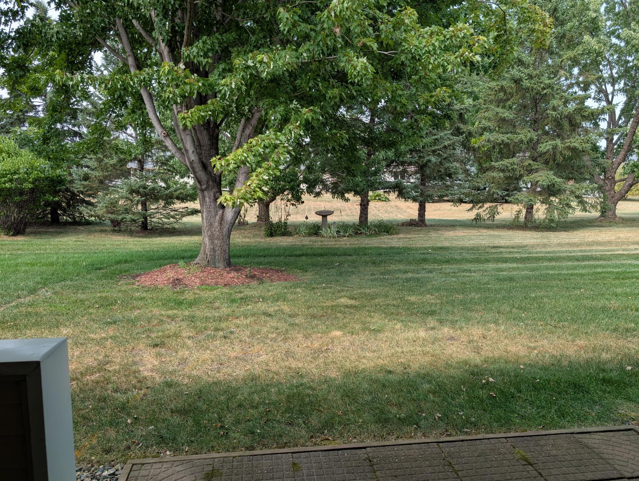 2203 Foxglove Way Property Photo 25
