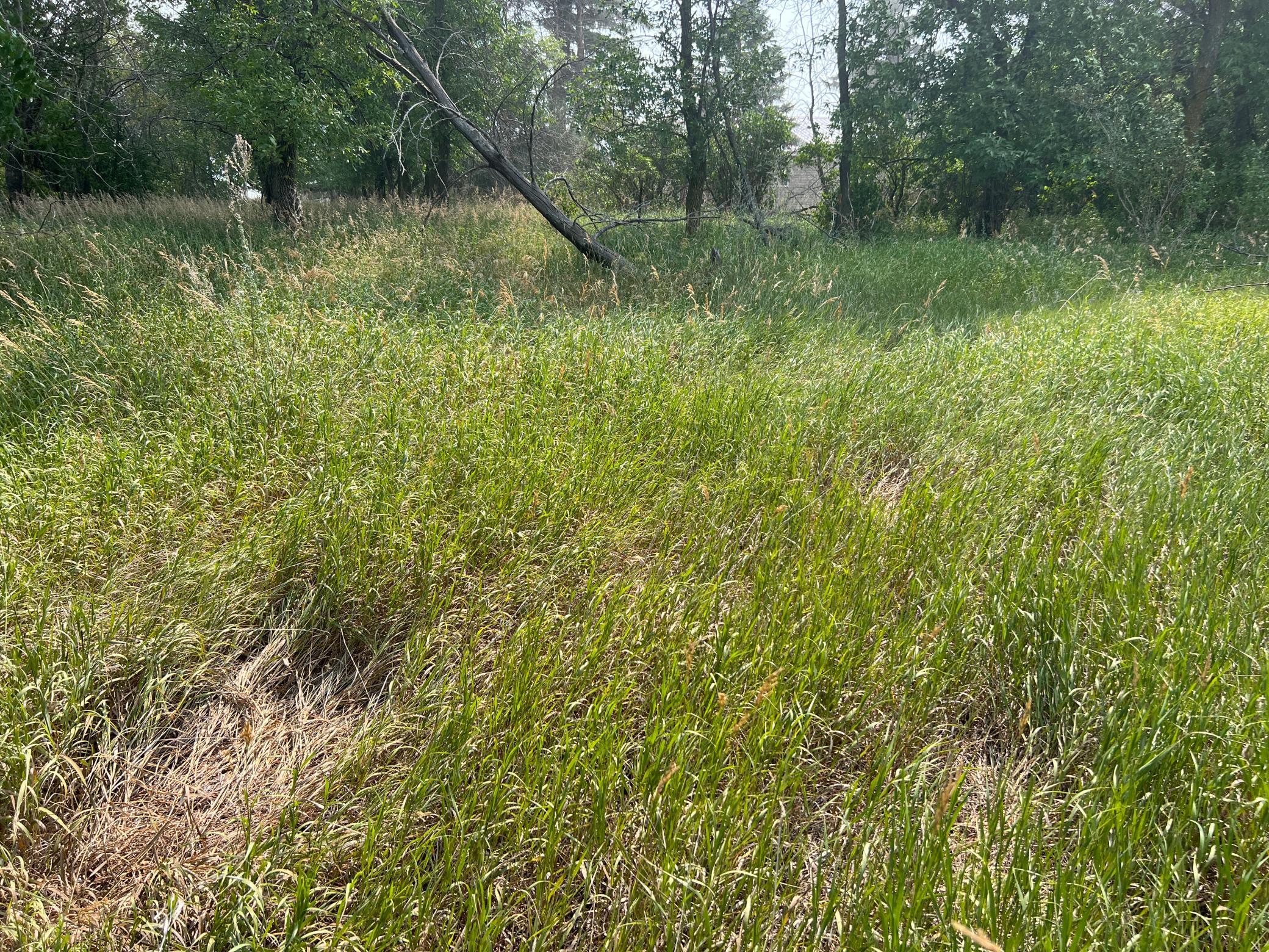 10441 County Road 14 Property Photo 92
