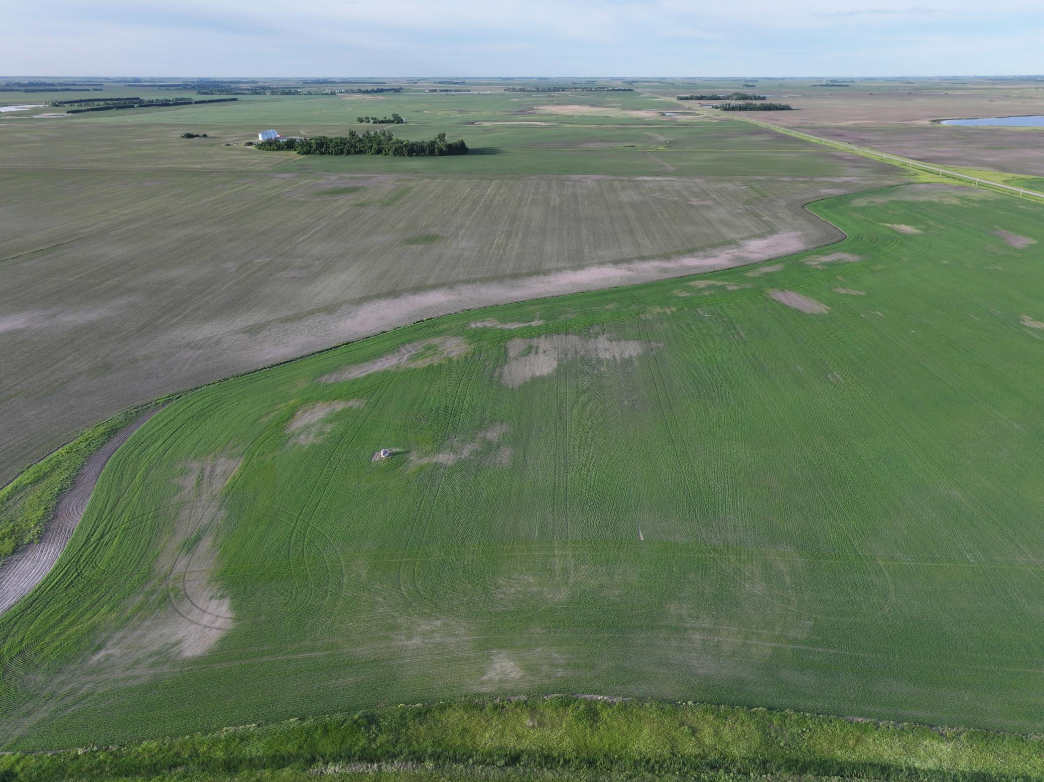 Tbd Co Rd 11 Property Photo 3