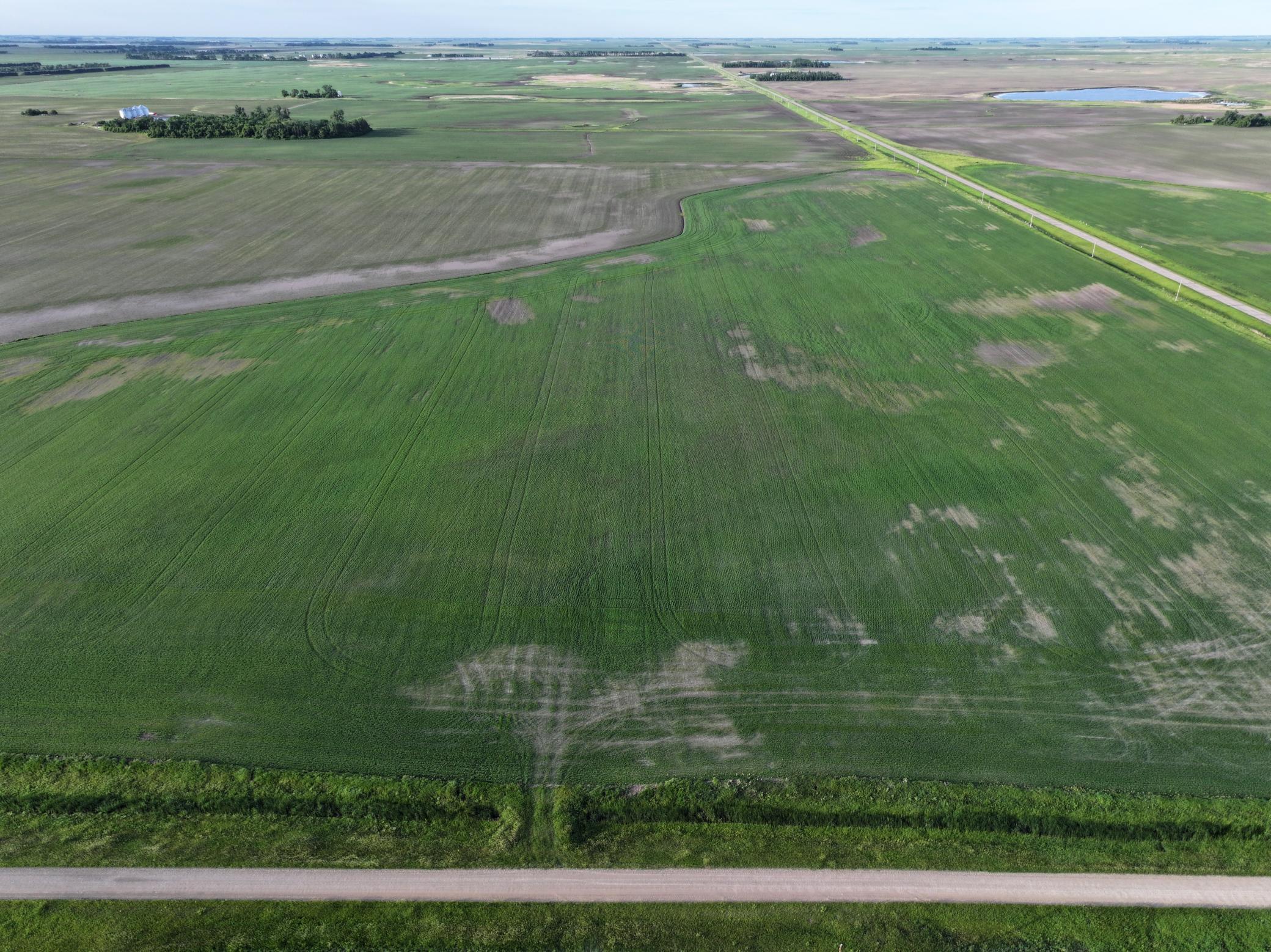 Tbd Co Rd 11 Property Photo 4