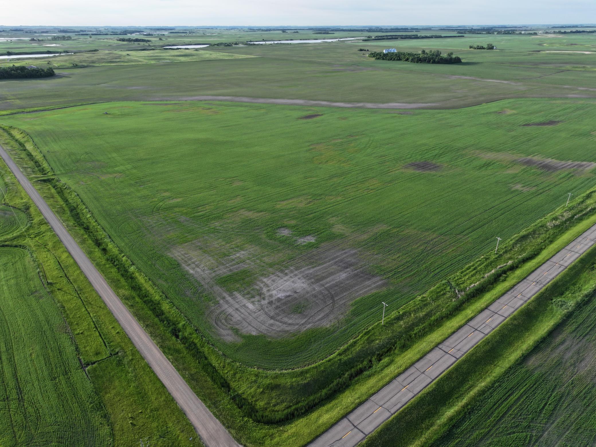 Tbd Co Rd 11 Property Photo 5