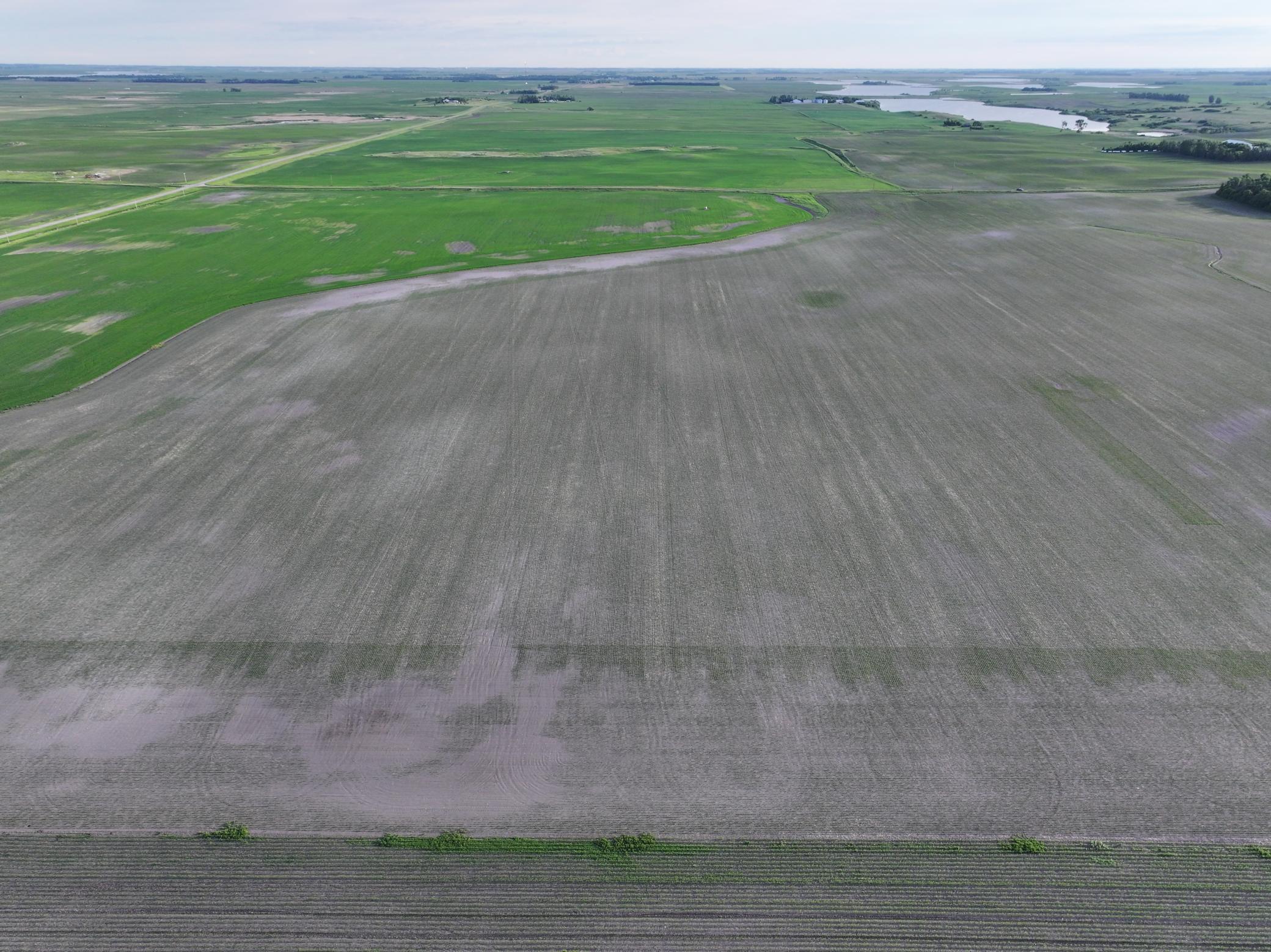 Tbd Co Rd 11 Property Photo 10