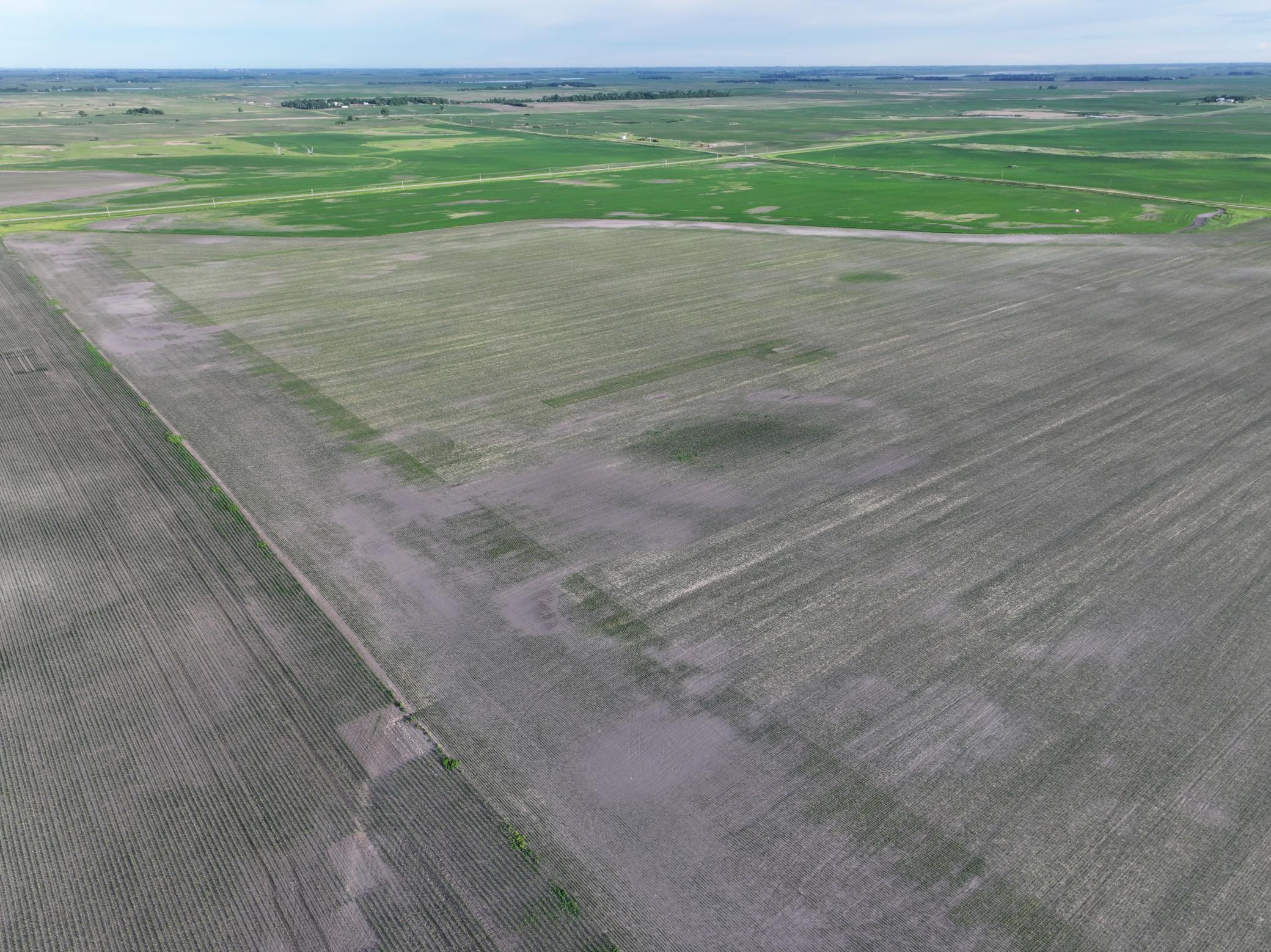 Tbd Co Rd 11 Property Photo 11