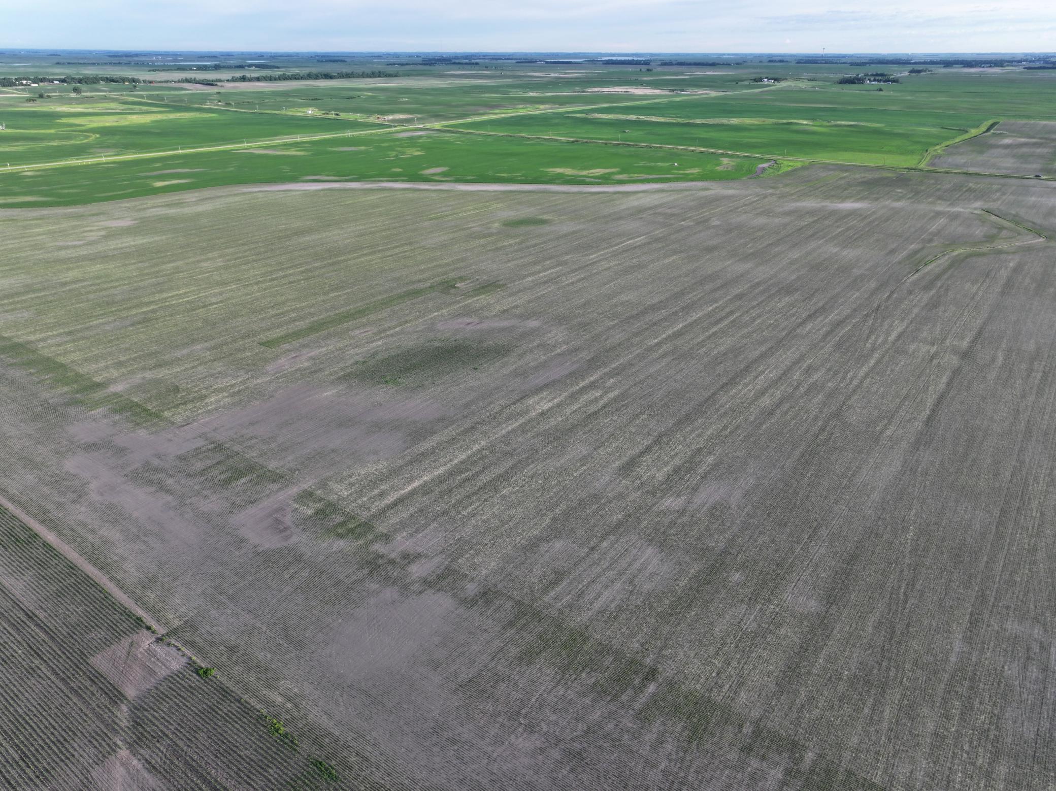 Tbd Co Rd 11 Property Photo 12