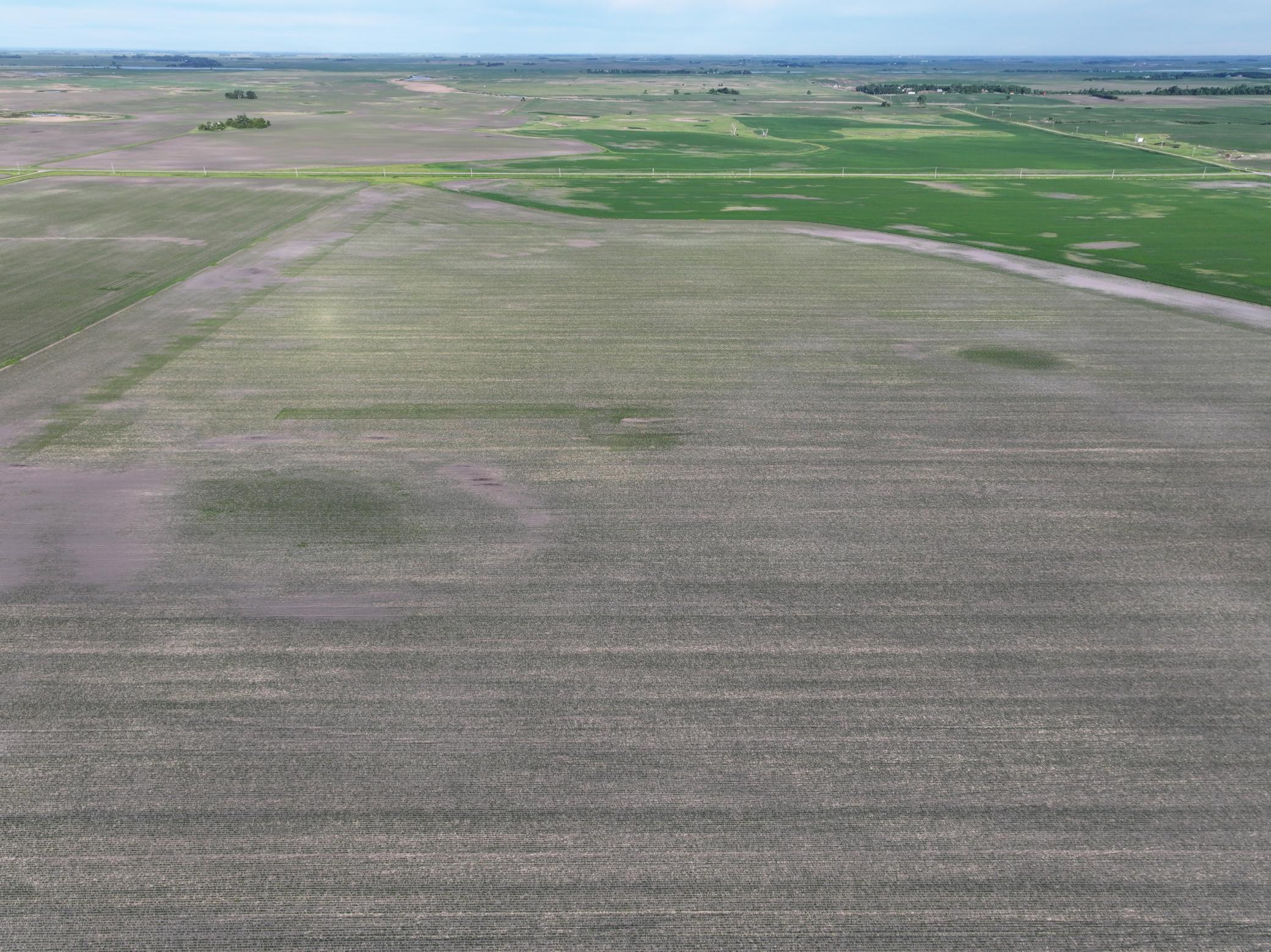 Tbd Co Rd 11 Property Photo 13