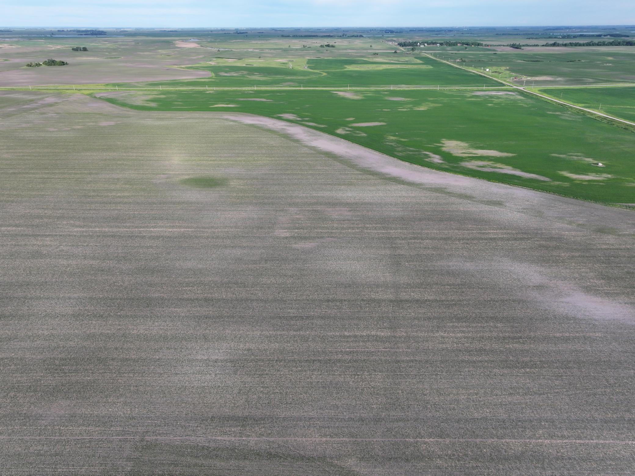 Tbd Co Rd 11 Property Photo 14