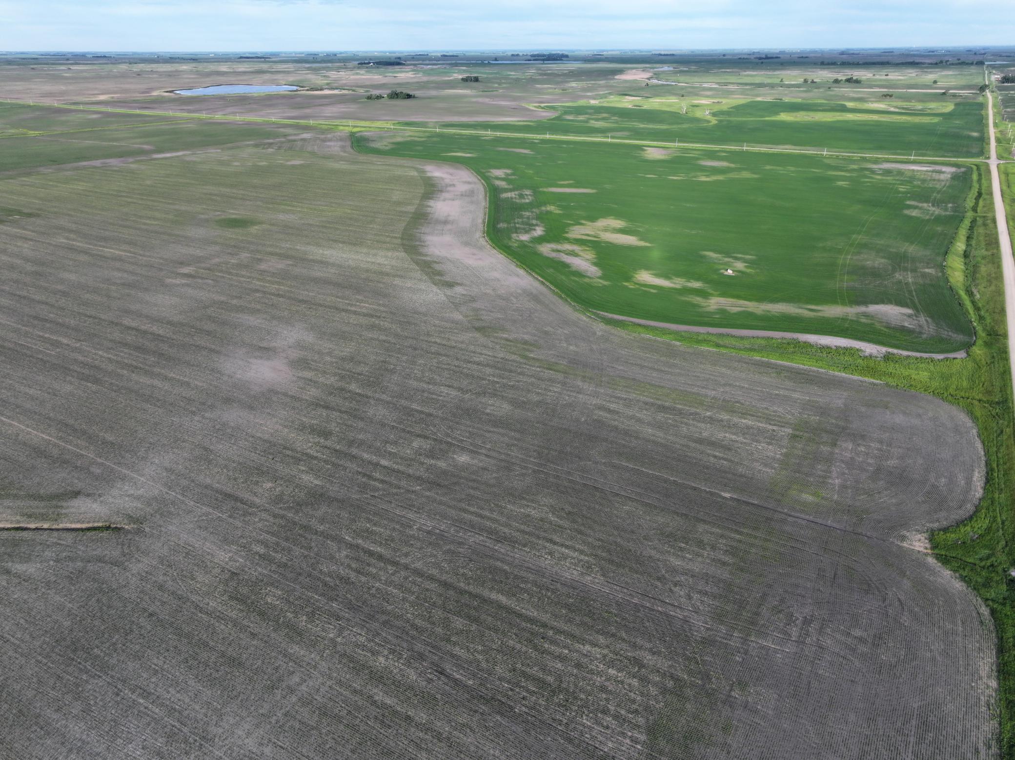 Tbd Co Rd 11 Property Photo 15