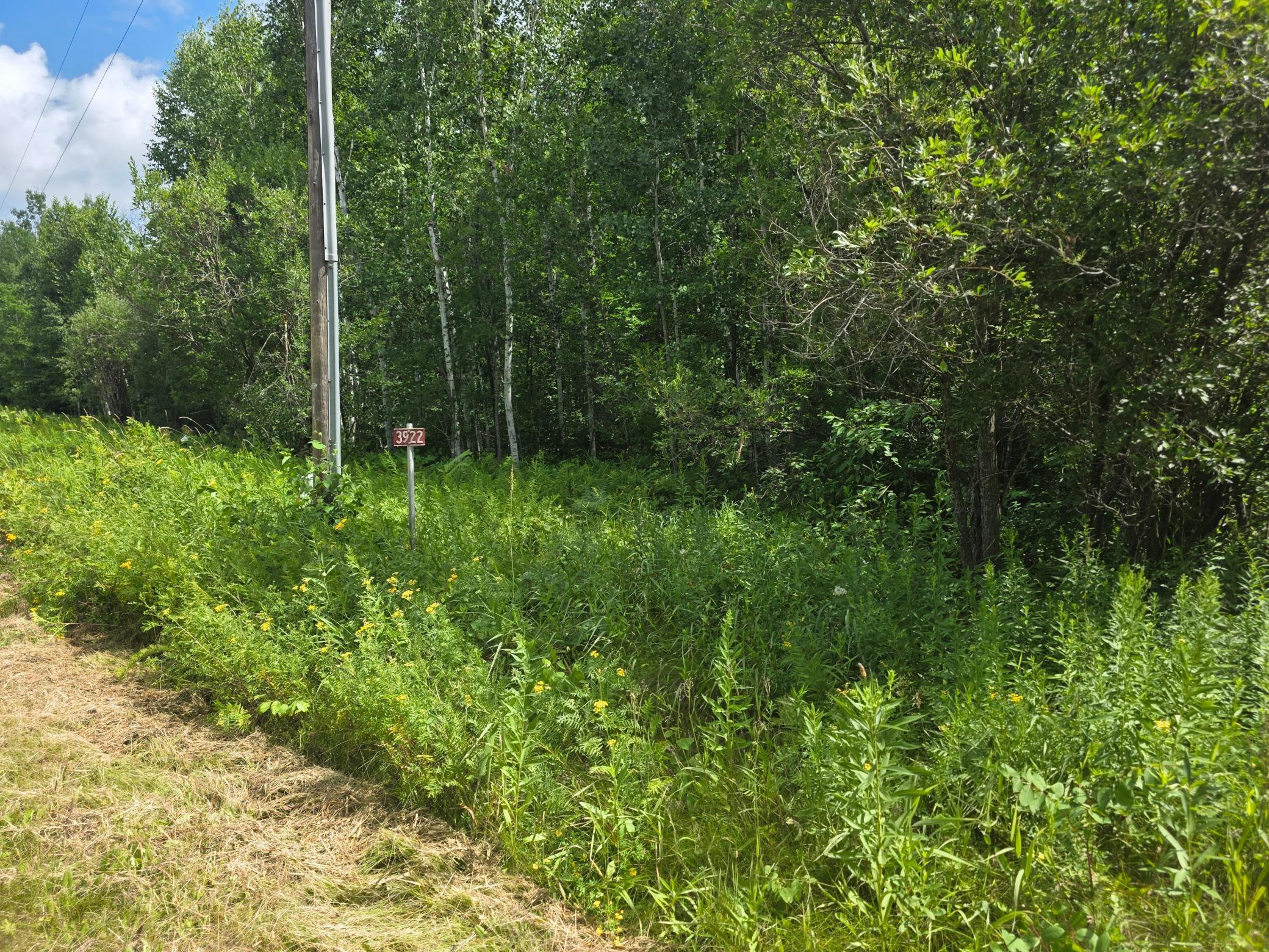 3922 Burnett Road Property Photo 4