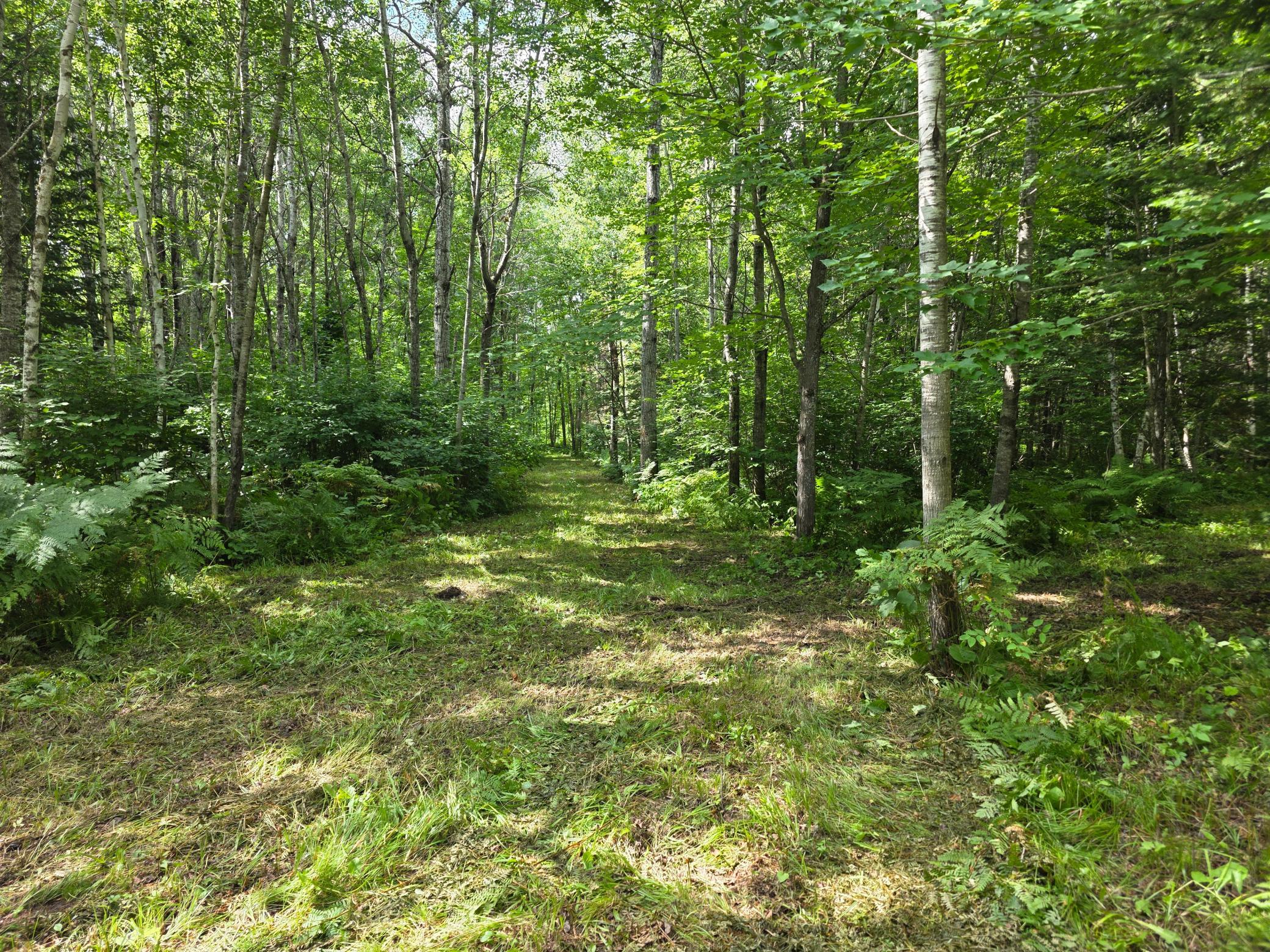 3922 Burnett Road Property Photo 9
