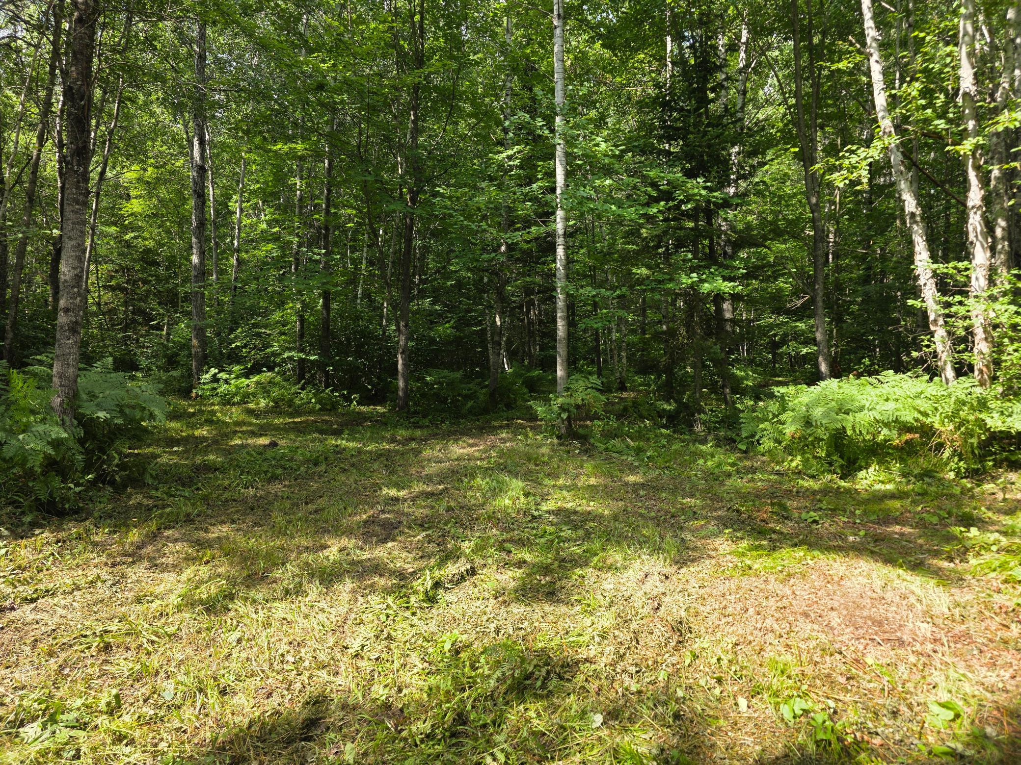 3922 Burnett Road Property Photo 10
