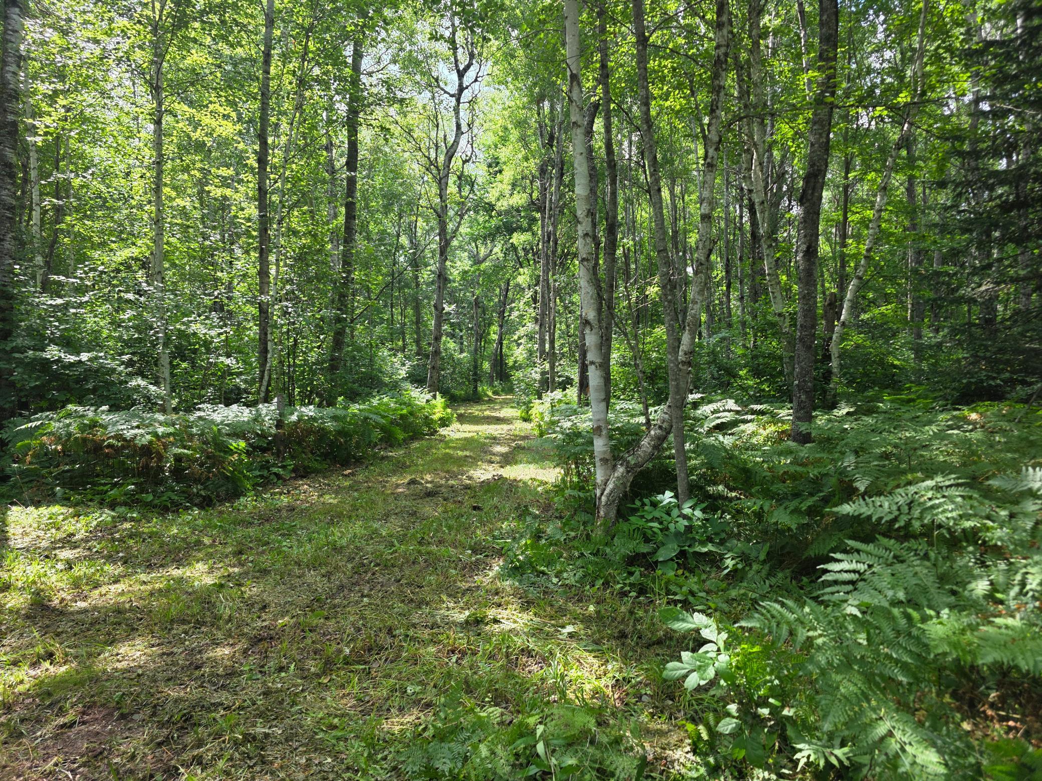 3922 Burnett Road Property Photo 16