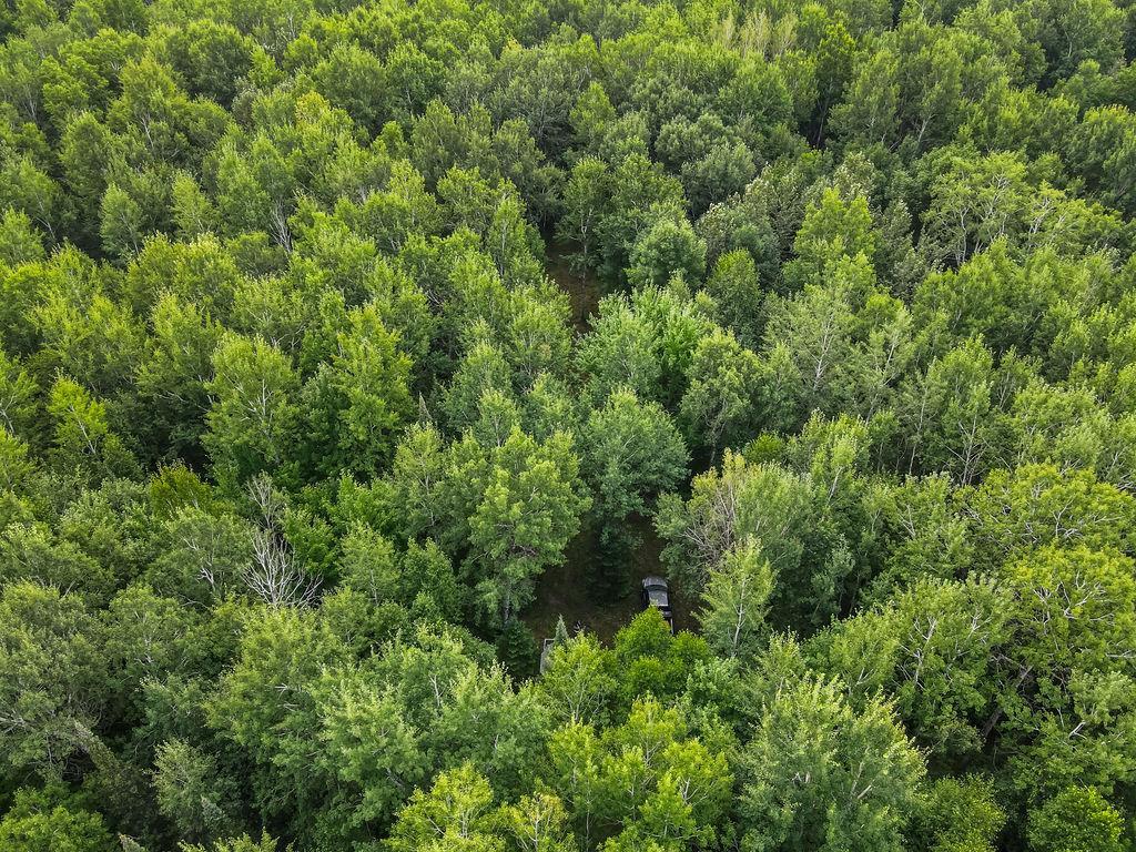 3922 Burnett Road Property Photo 25