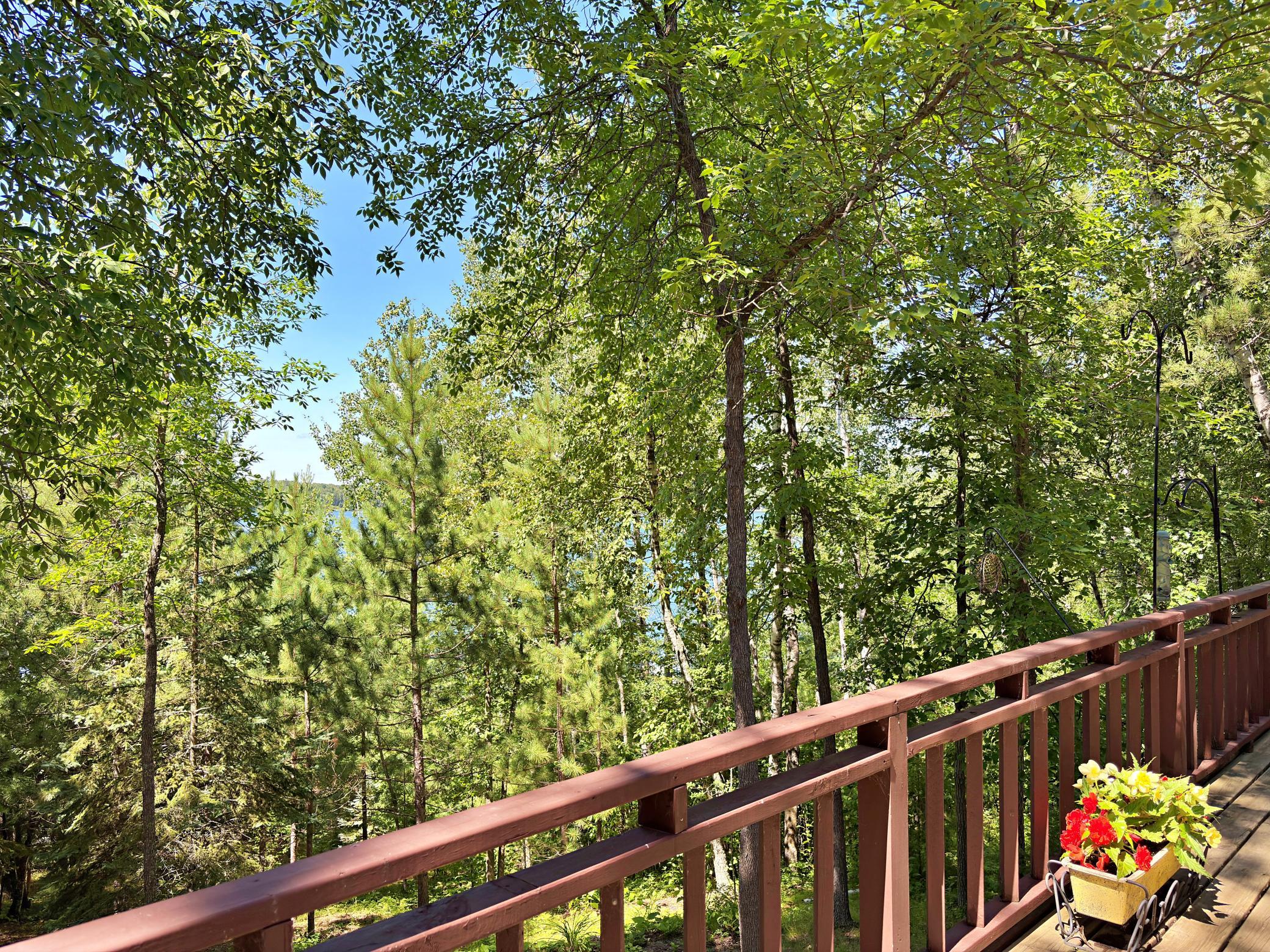 9962 Knotty Pine Drive Property Photo 34
