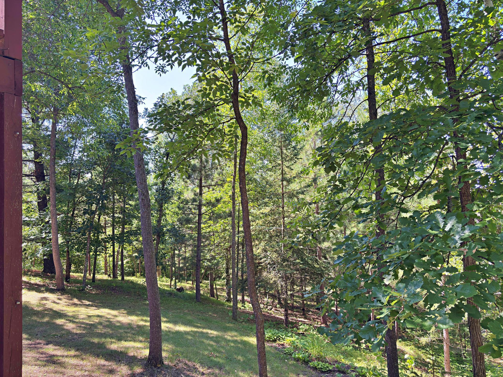 9962 Knotty Pine Drive Property Photo 38