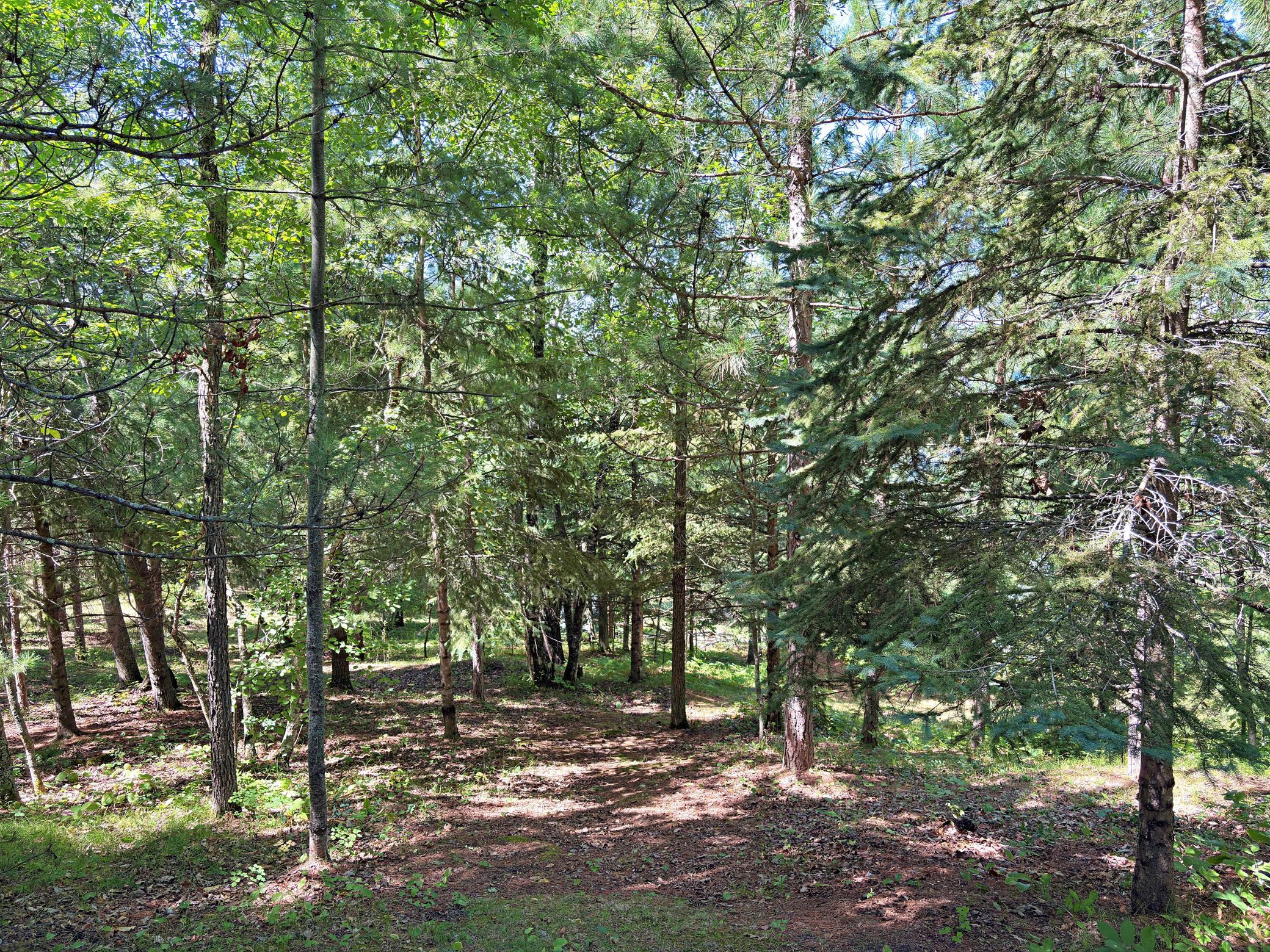 9962 Knotty Pine Drive Property Photo 39