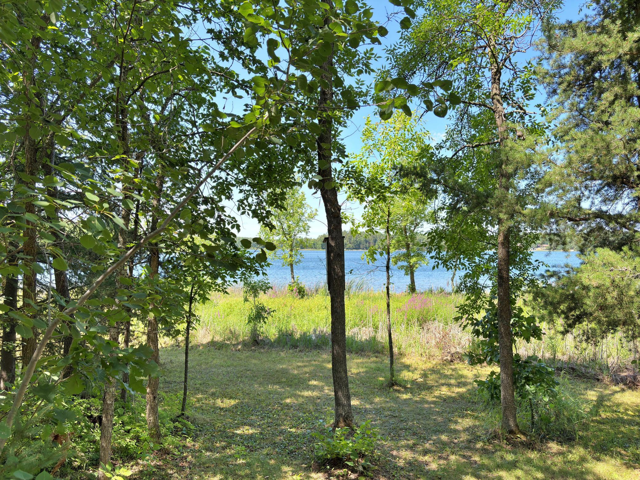 9962 Knotty Pine Drive Property Photo 40