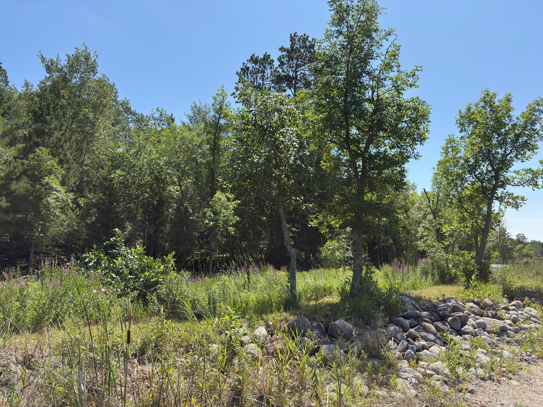 9962 Knotty Pine Drive Property Photo 42