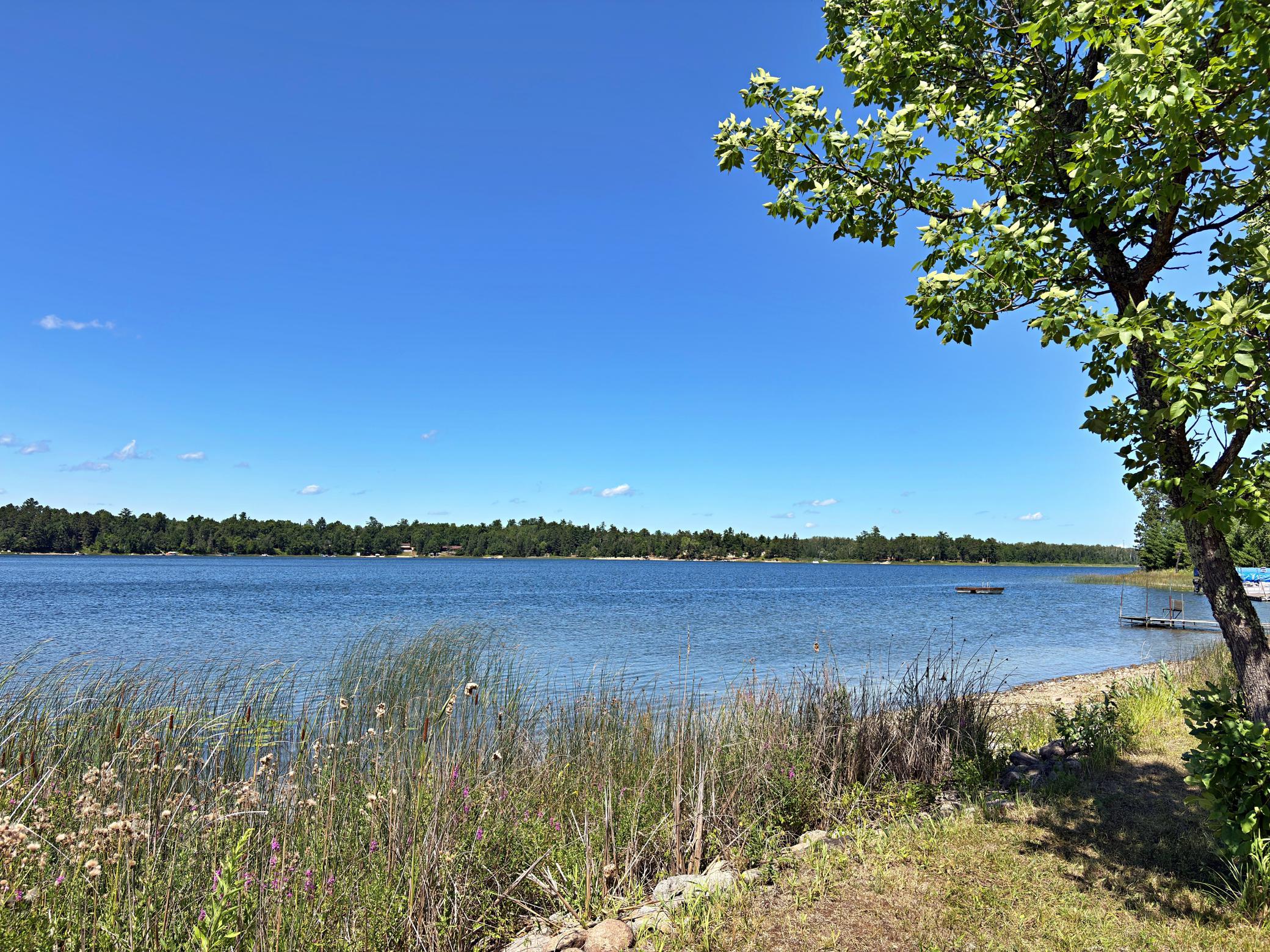 9962 Knotty Pine Drive Property Photo 43